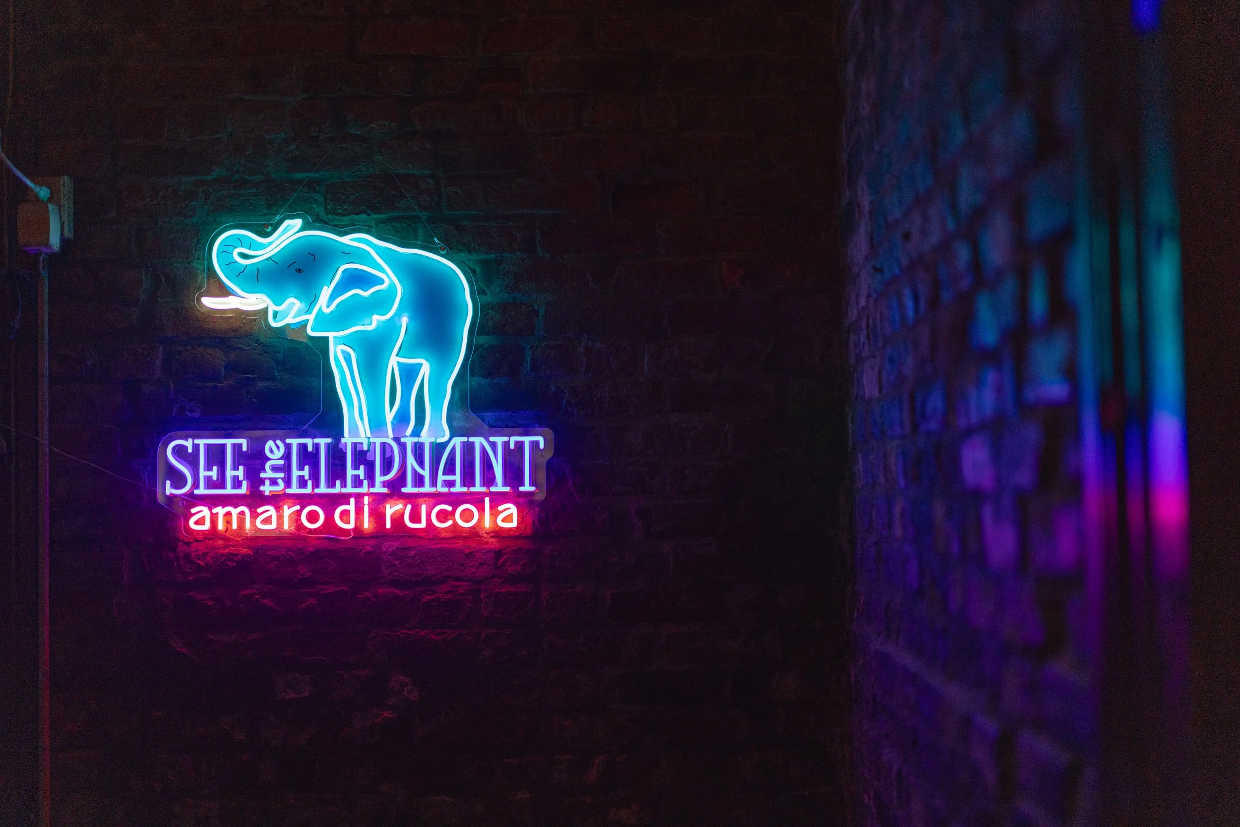 20250721 – SEE THE ELEPHANT – 003.jpg