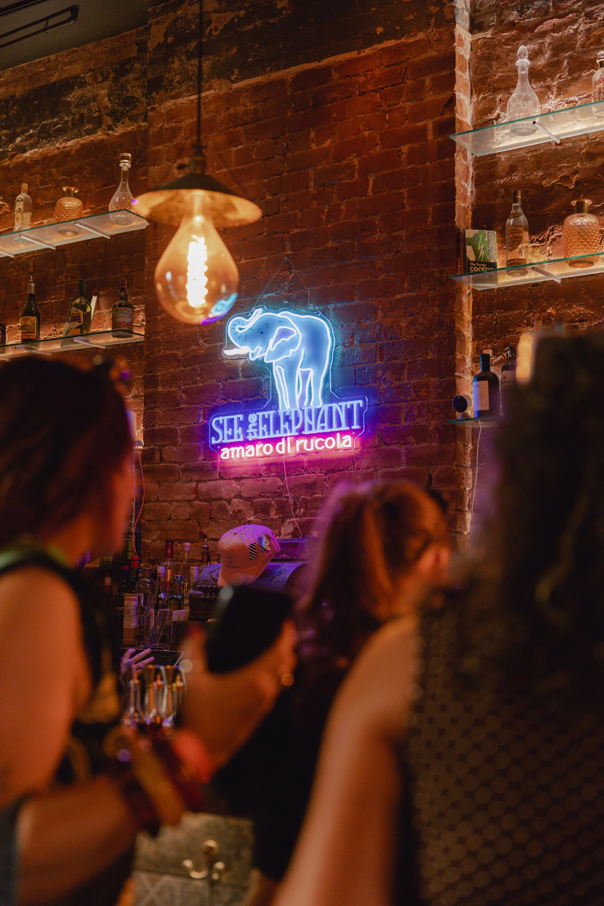 20260720_SeeTheElephant_Bar1865_001.jpg