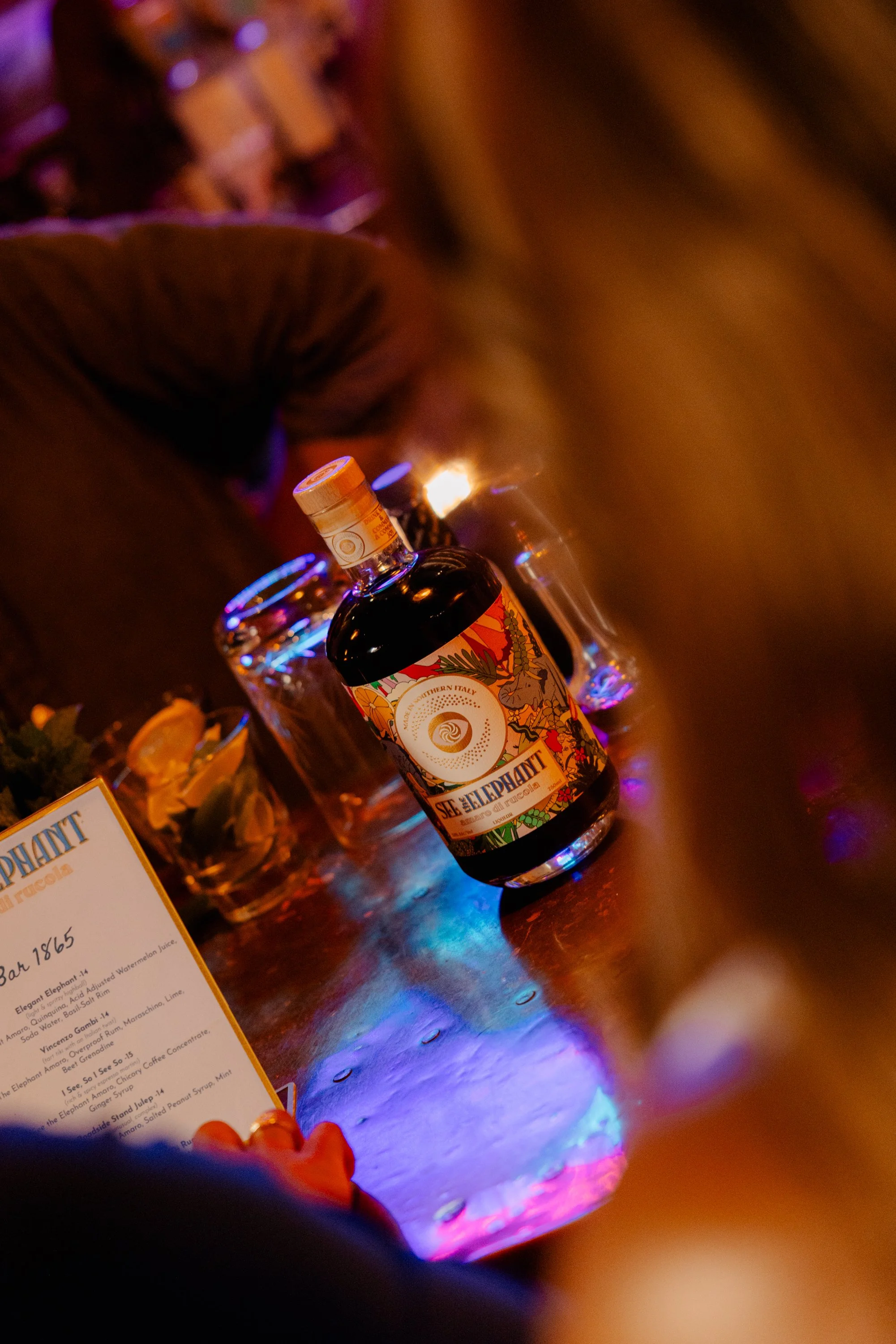 20260720_SeeTheElephant_Bar1865_057.jpg