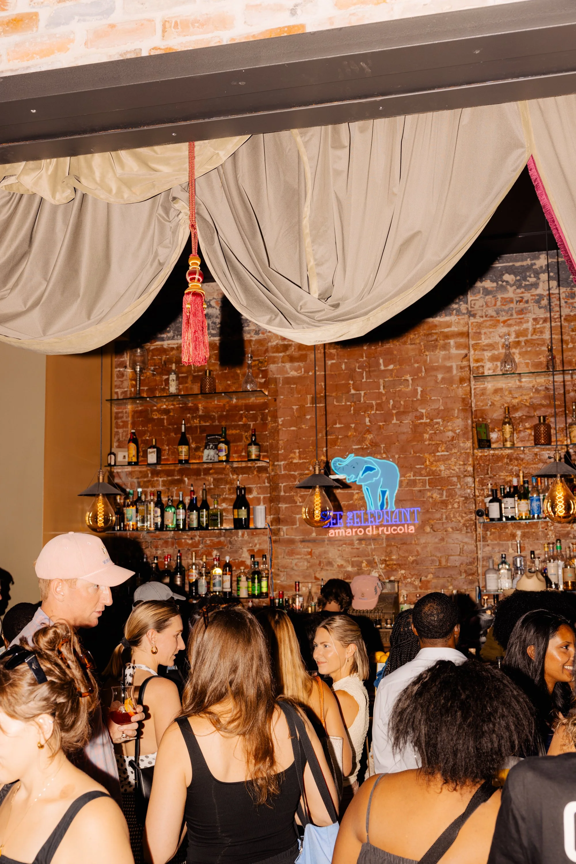 20260720_SeeTheElephant_Bar1865_067.jpg