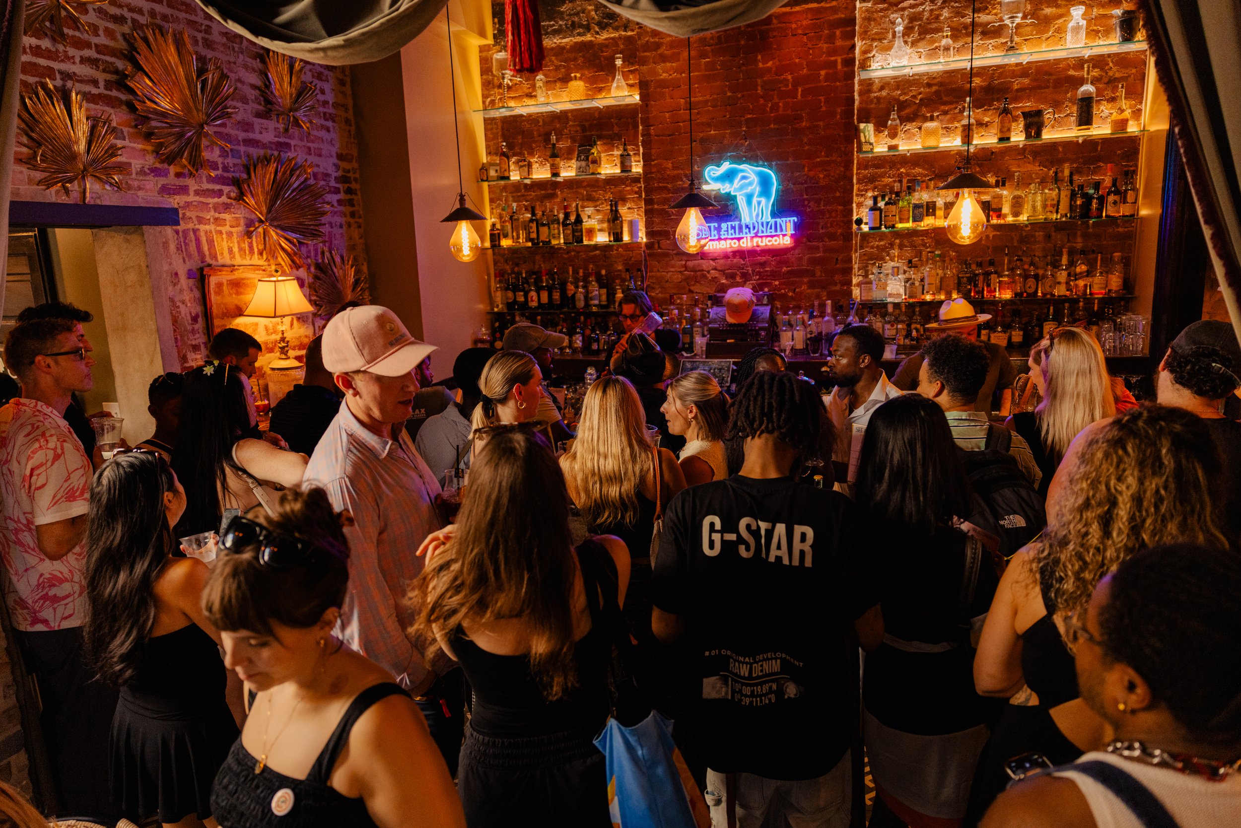 20260720_SeeTheElephant_Bar1865_071.jpg