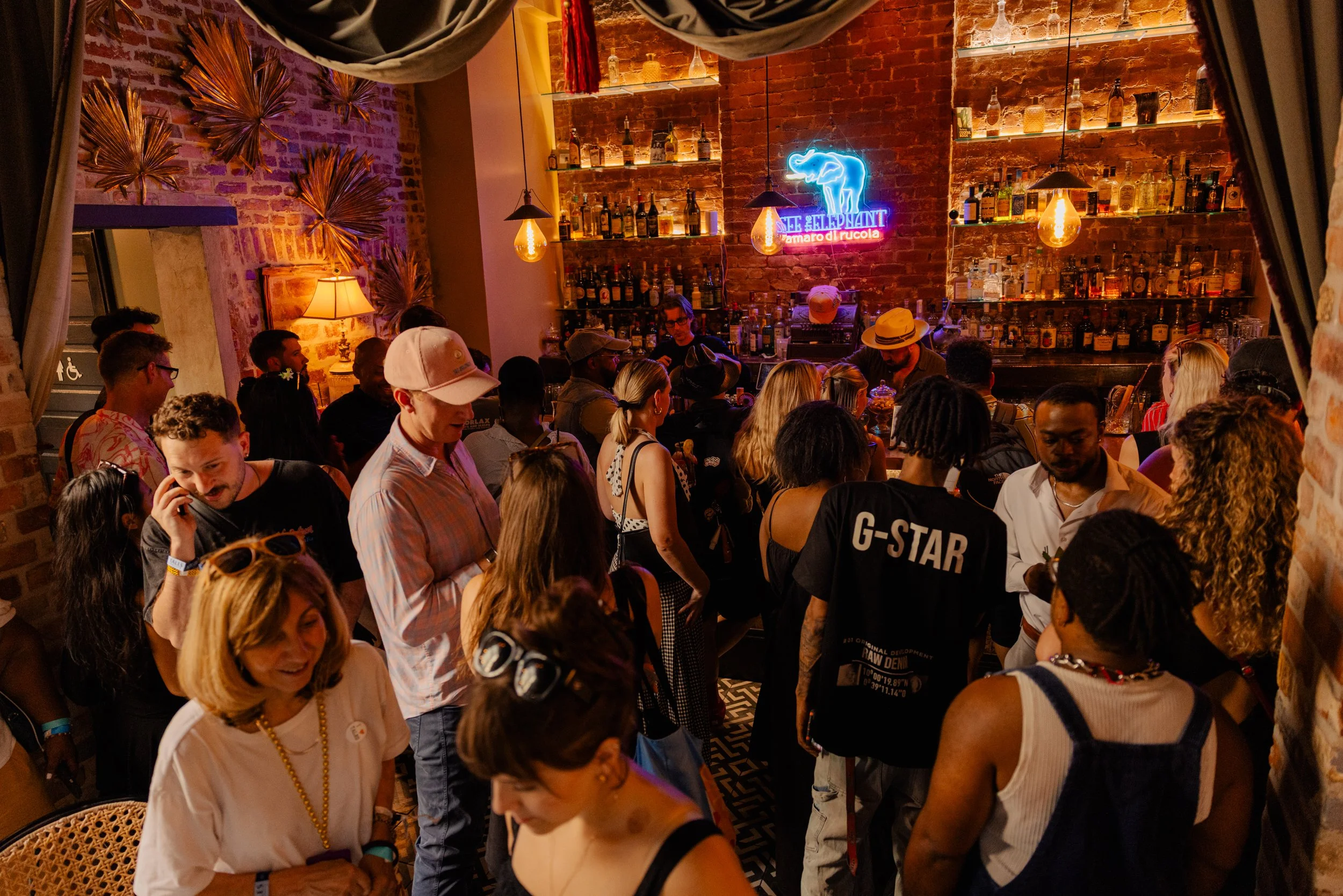 20260720_SeeTheElephant_Bar1865_072.jpg