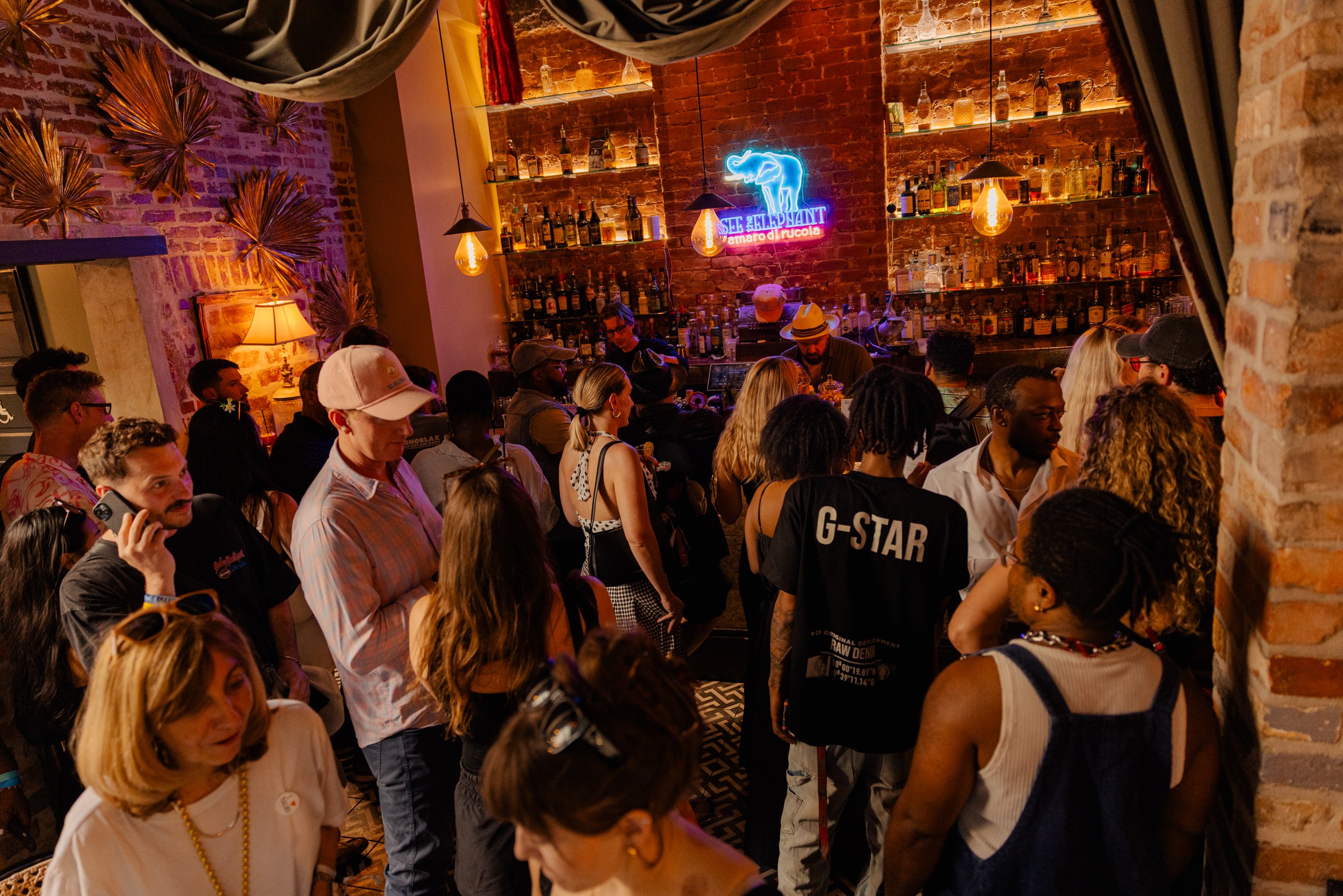 20260720_SeeTheElephant_Bar1865_073.jpg