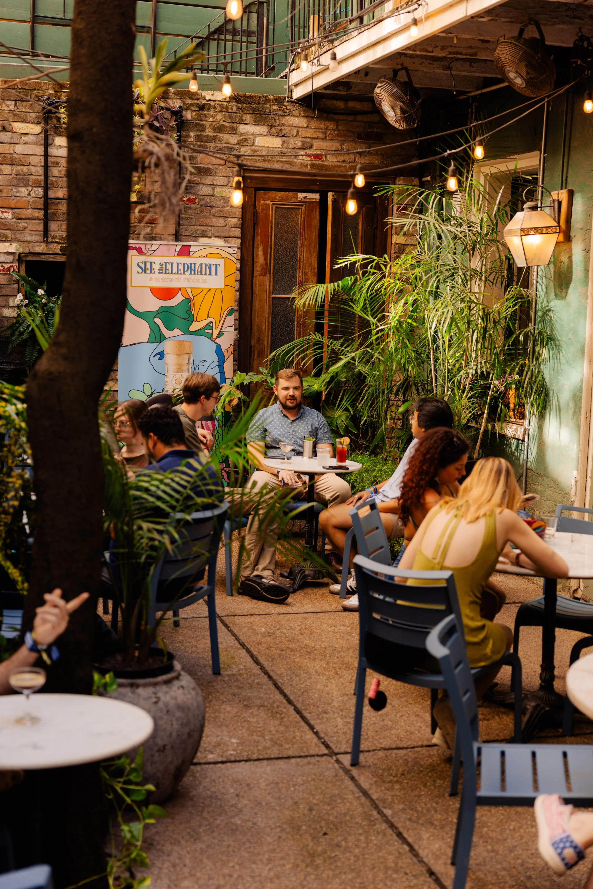 20260720_SeeTheElephant_Bar1865_087.jpg