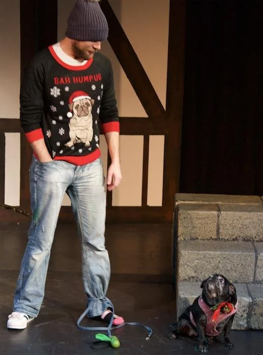 Two Gentlemen of Verona - Fern Shakespeare