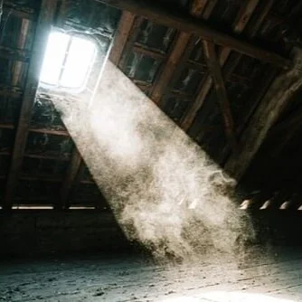 types of mold in air ducts