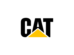 cat logo2.png