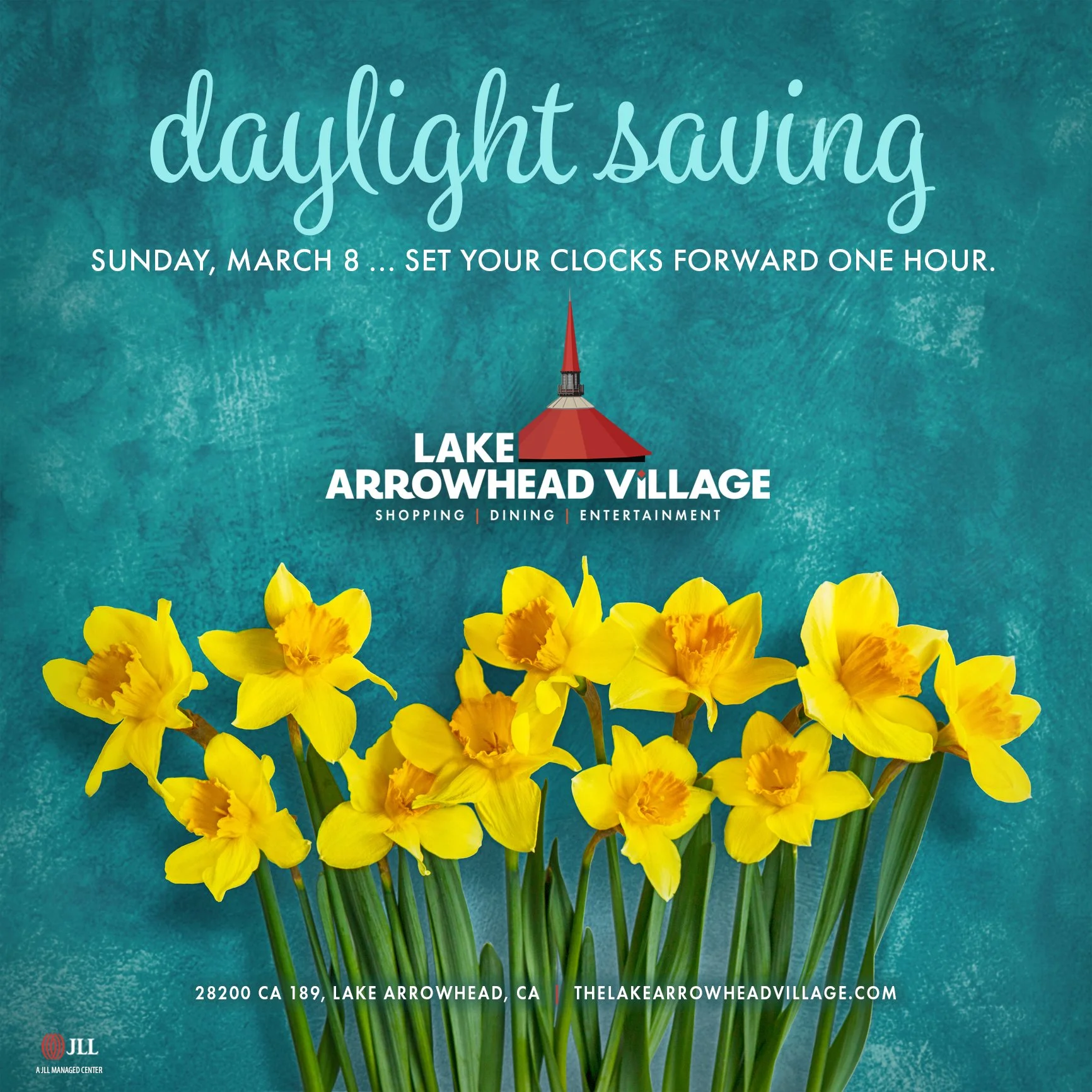 Daylight Saving Time