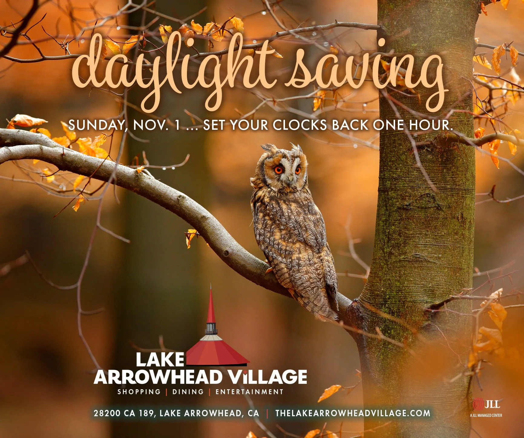 Daylight Saving Time