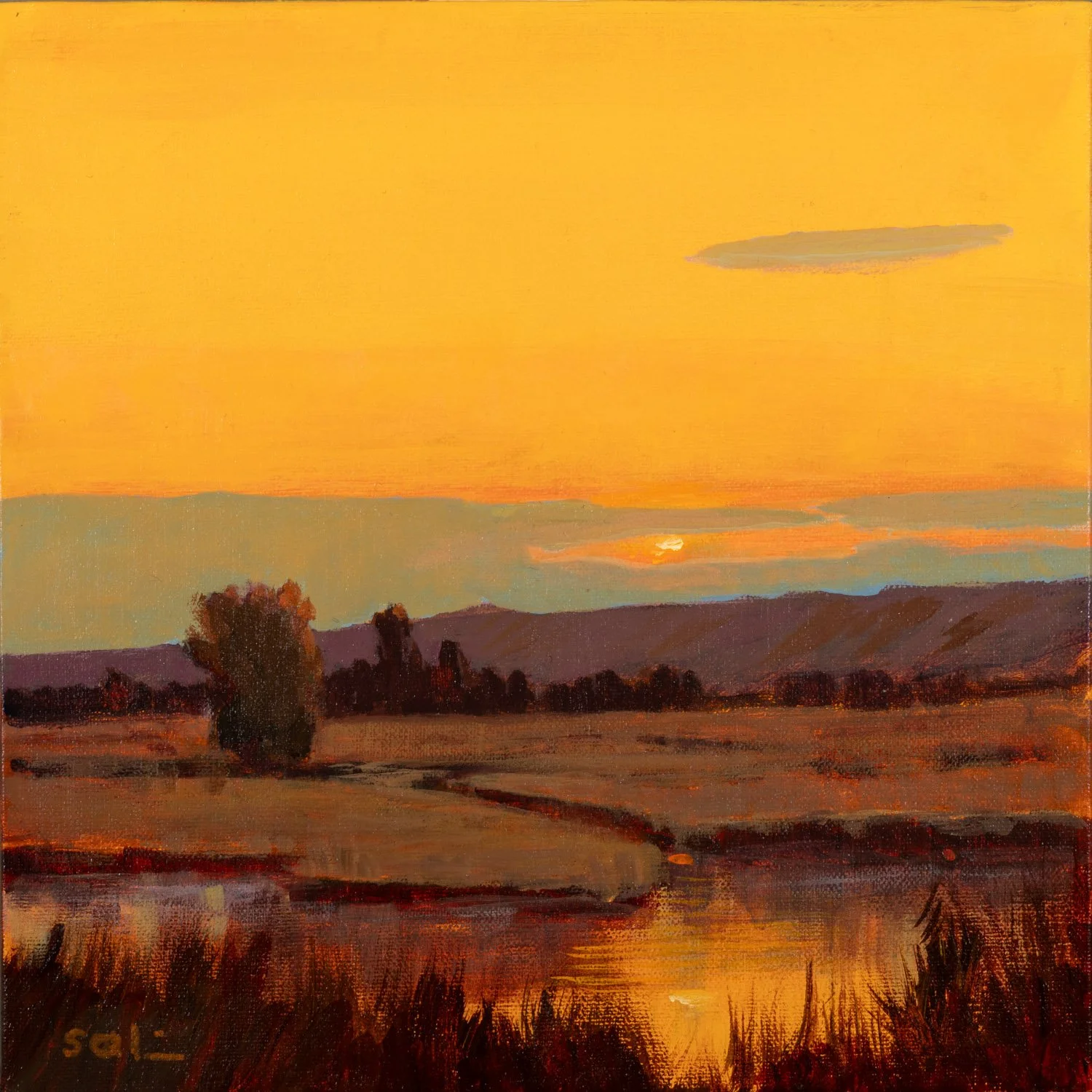 Golden Hour Sundown
