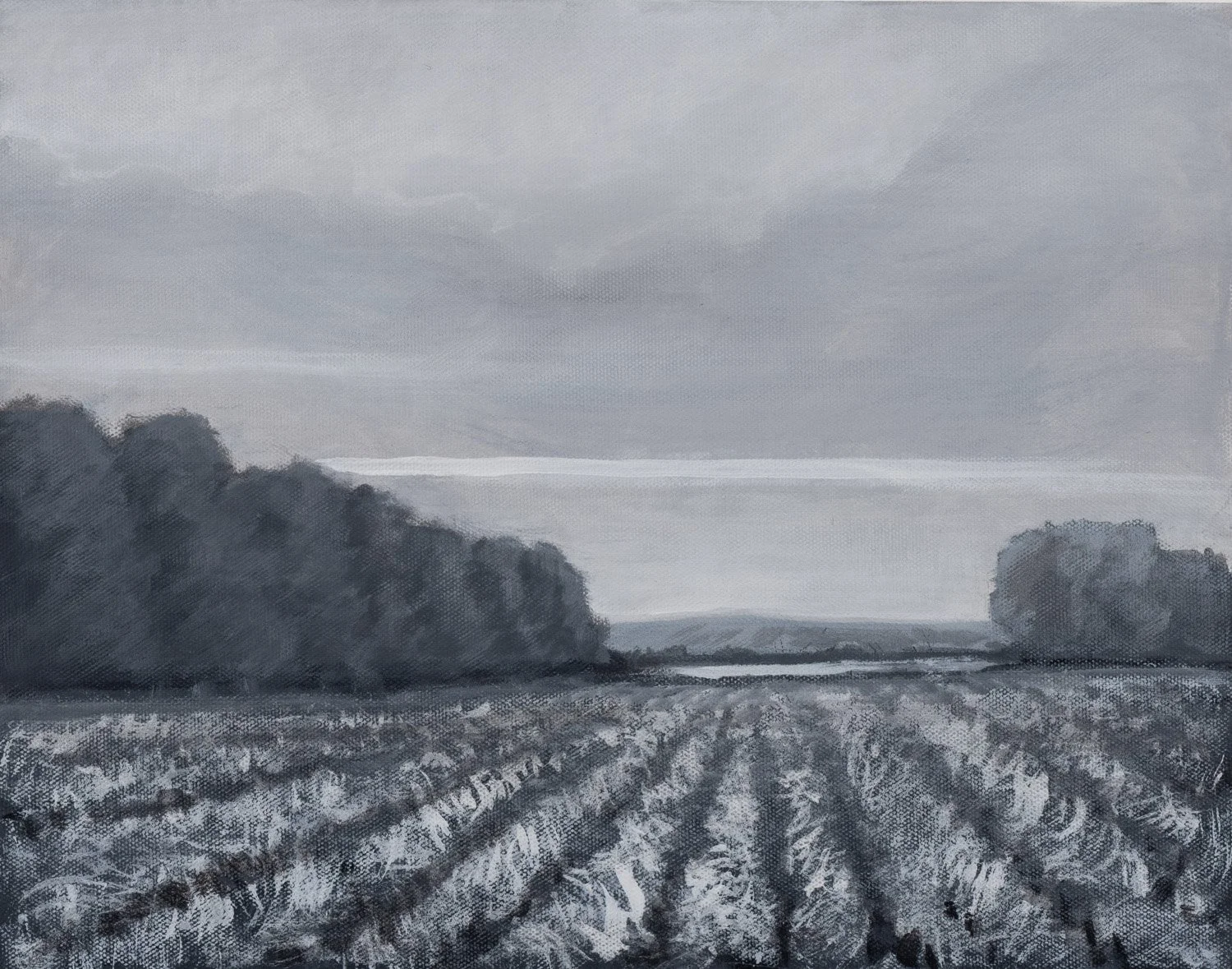 Summer Dawn – Black &amp; White