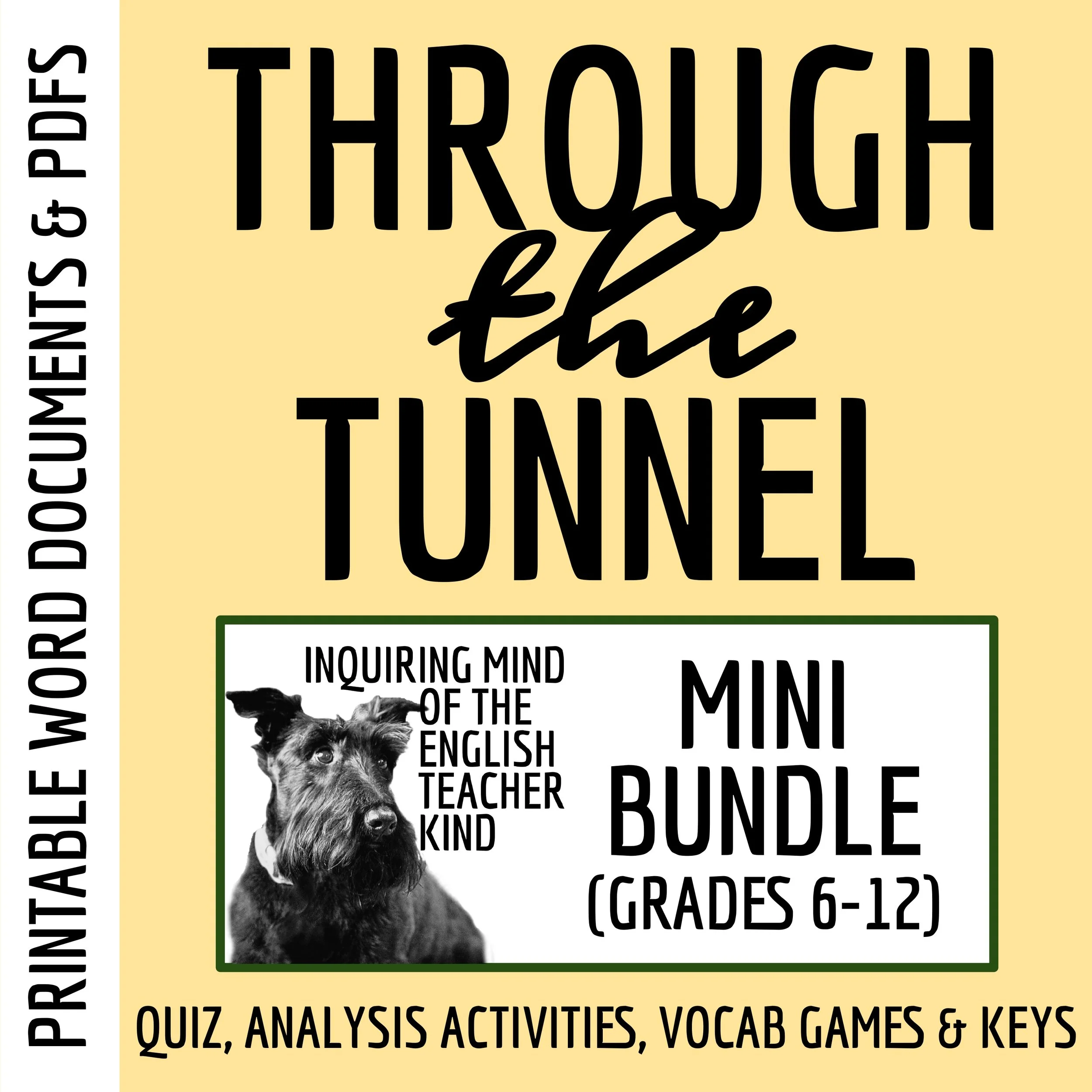 "Through the Tunnel" by Doris Lessing Quiz, Analysis Activities, Vocabulary Games, and Answer Keys for High School from Inquiring Mind of the English Teacher Kind