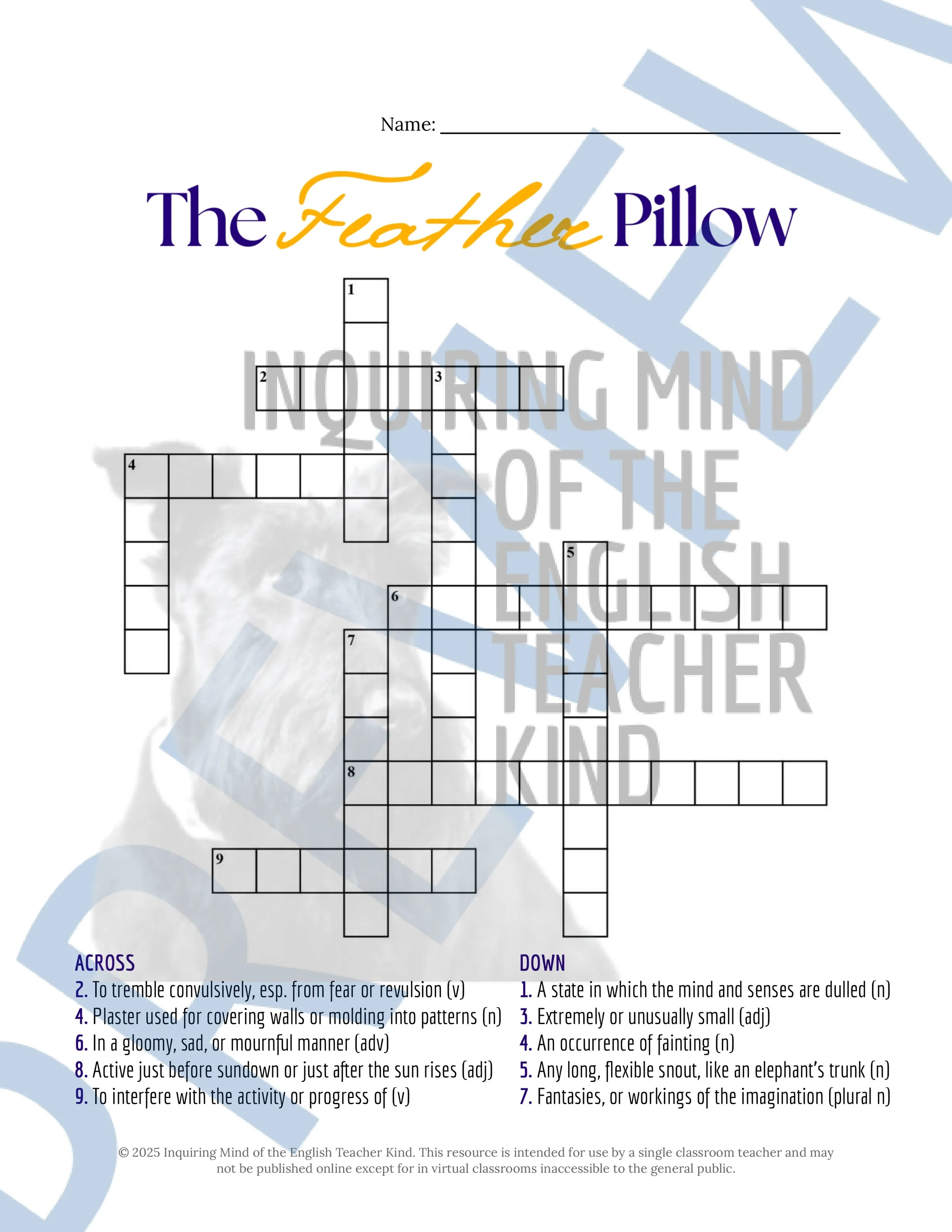 The Feather Pillow by Horacio Quiroga Vocabulary Activities (3).jpg