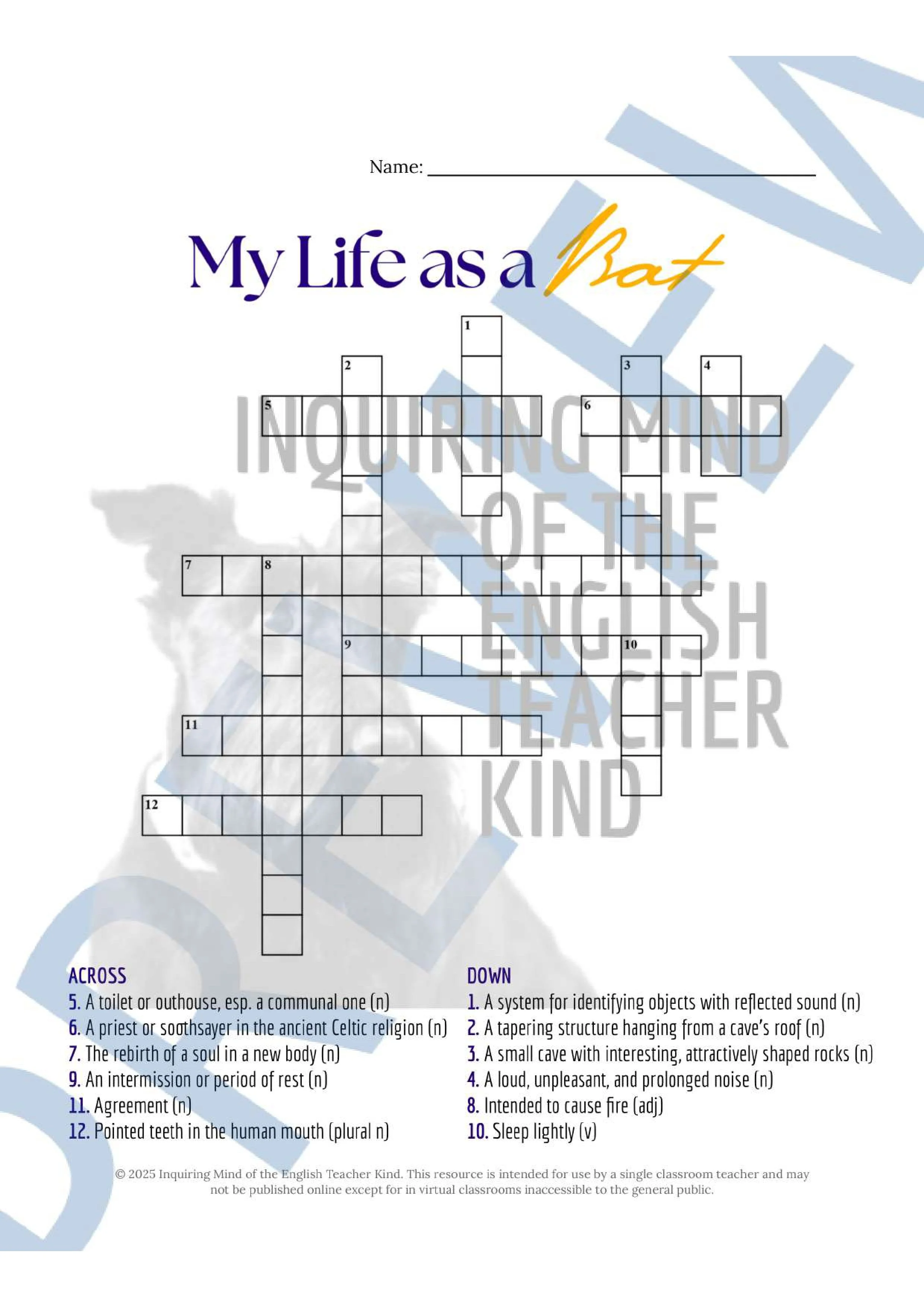 My Life as a Bat Vocabulary Activities (3).jpg