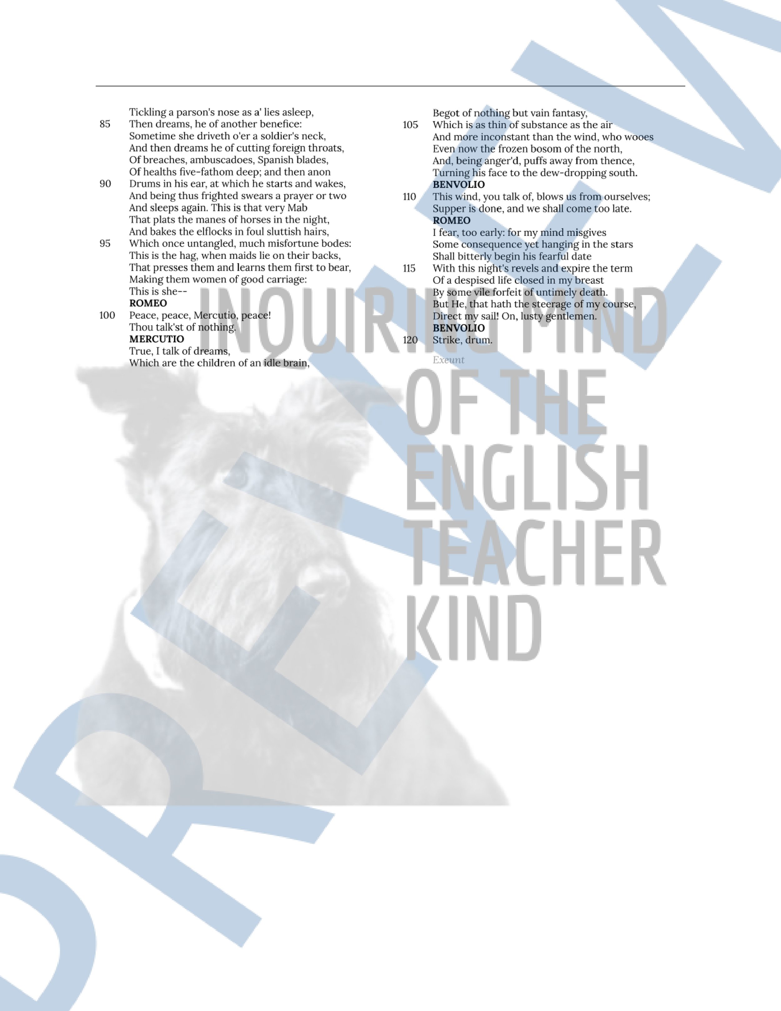 Romeo and Juliet Reading Guides, Vocabulary Games, Quizzes, Inference ...