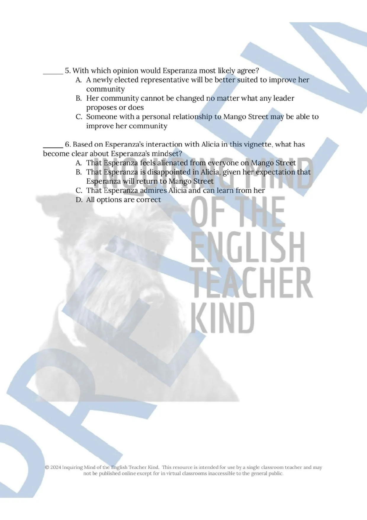 The House on Mango Street Close Reading Worksheet on Alicia