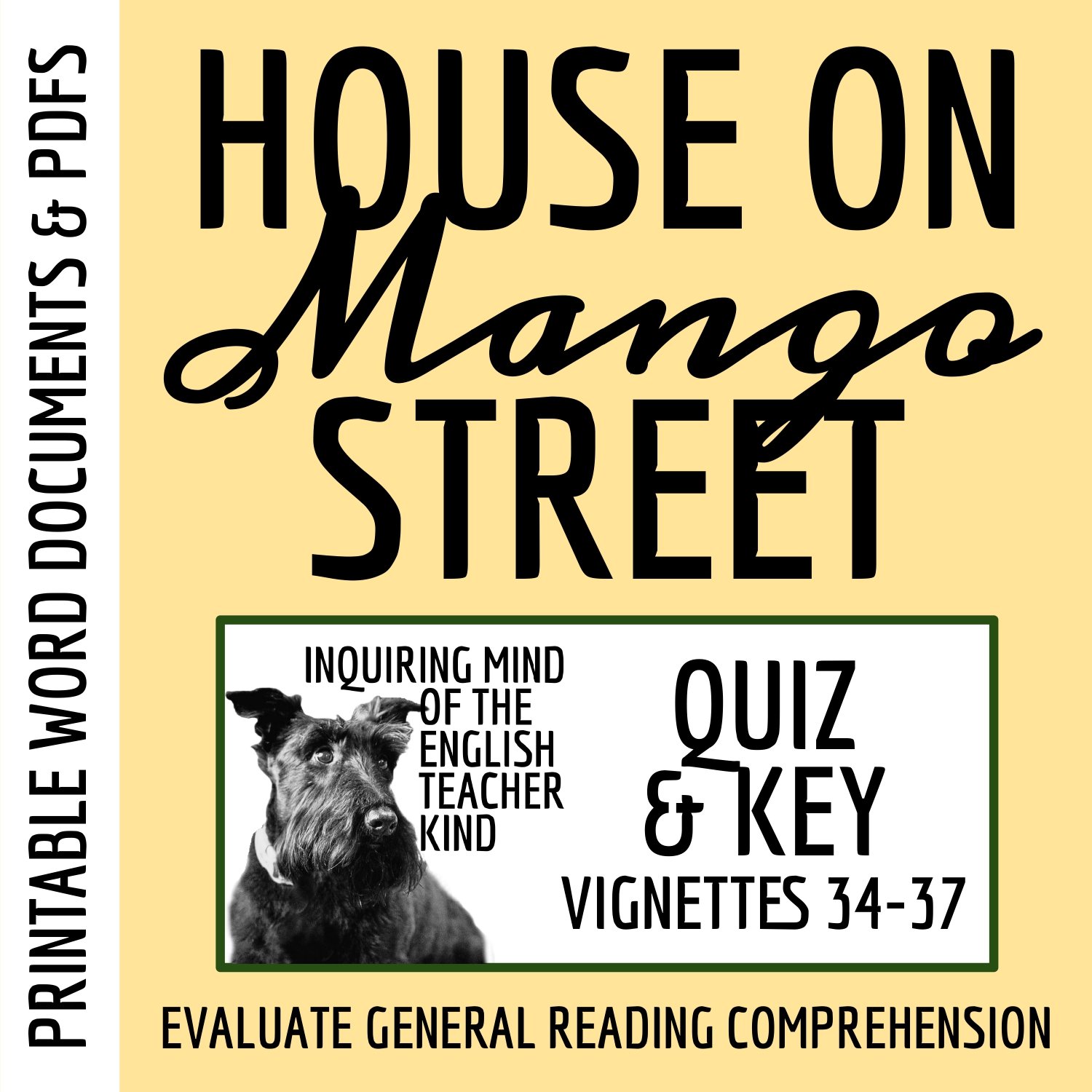 The House on Mango Street by Sandra Cisneros Quiz and Answer Key (Vignettes 34-37)