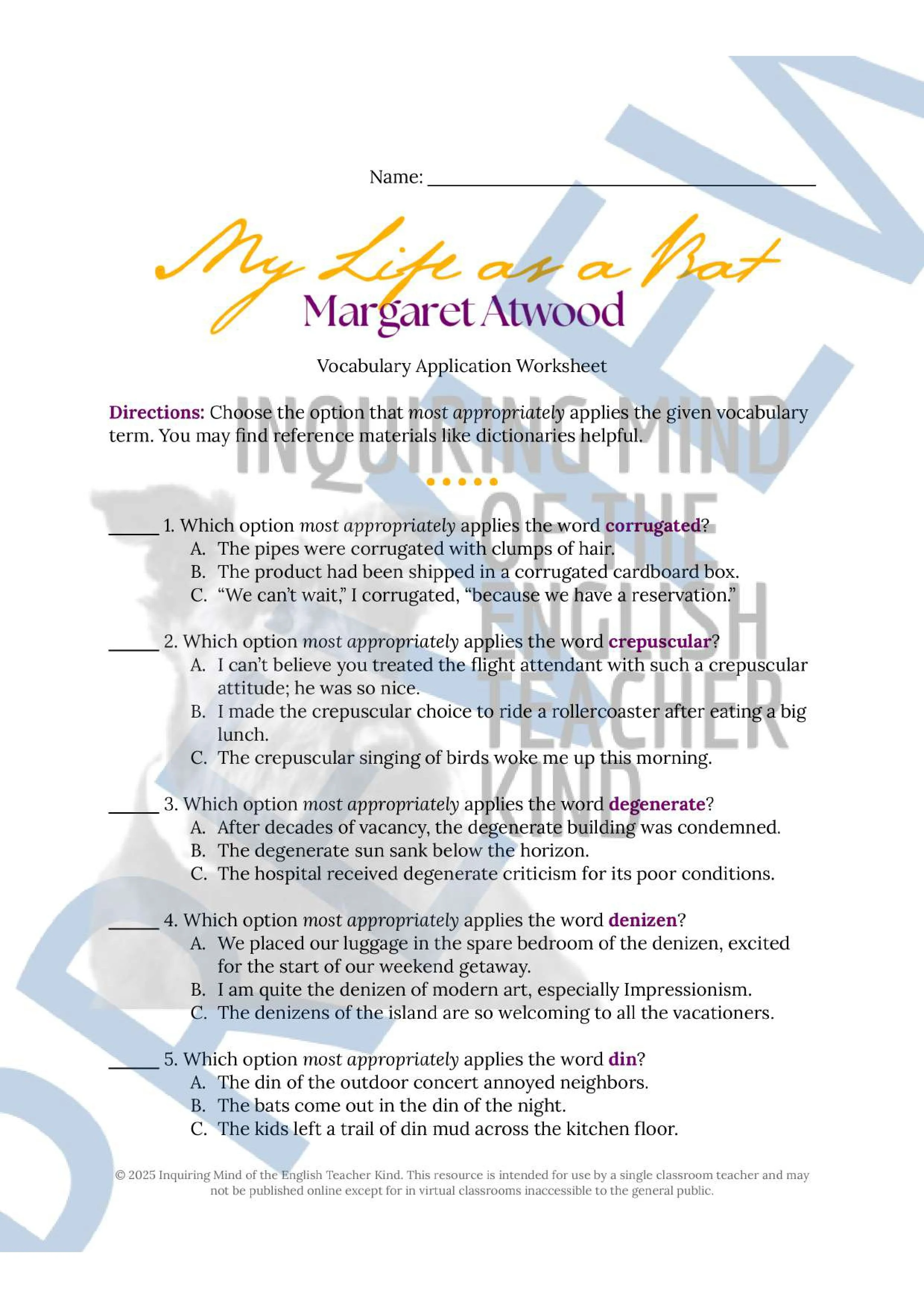 My Life as a Bat Vocabulary Activities (1).jpg