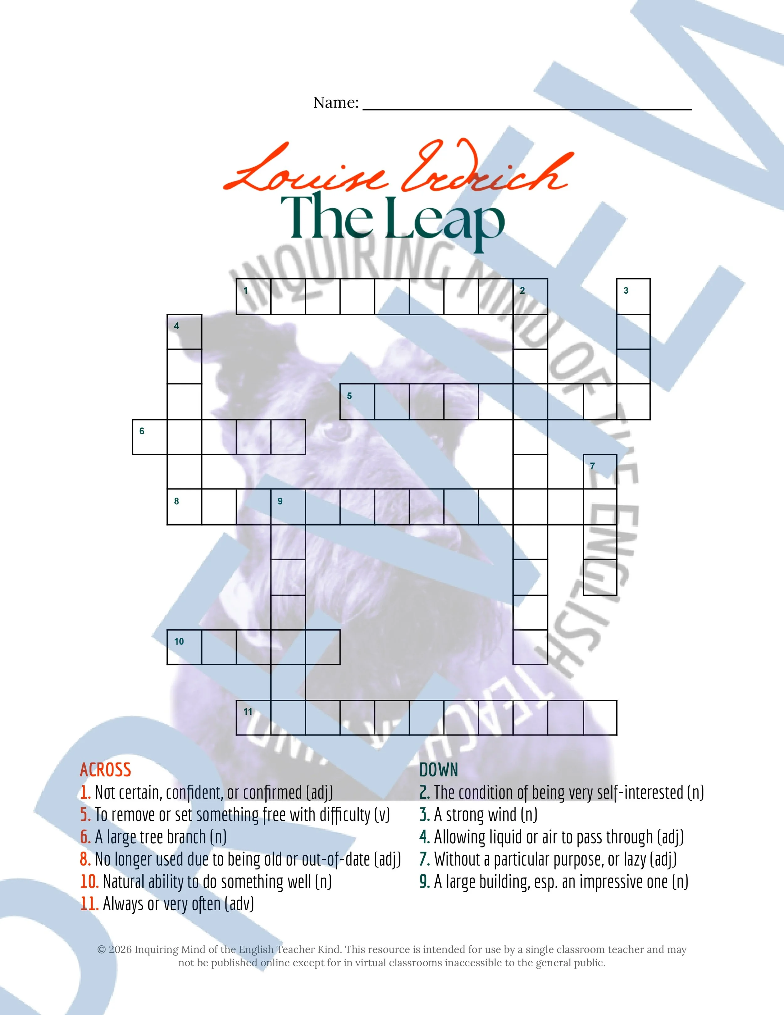The Leap by Louise Erdrich Vocabulary Activities (3).jpg