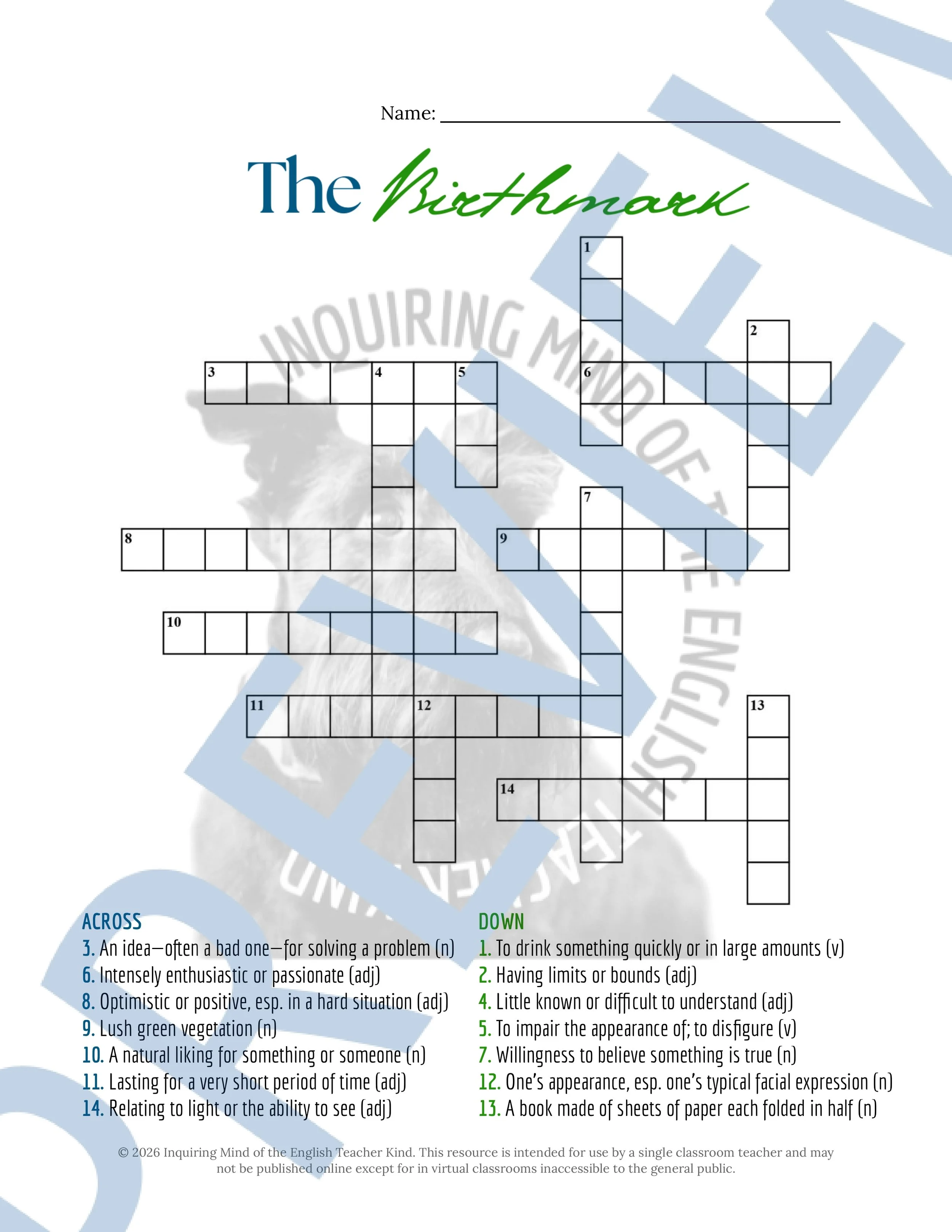 The Birthmark by Nathaniel Hawthorne Vocabulary Activities (5).jpg