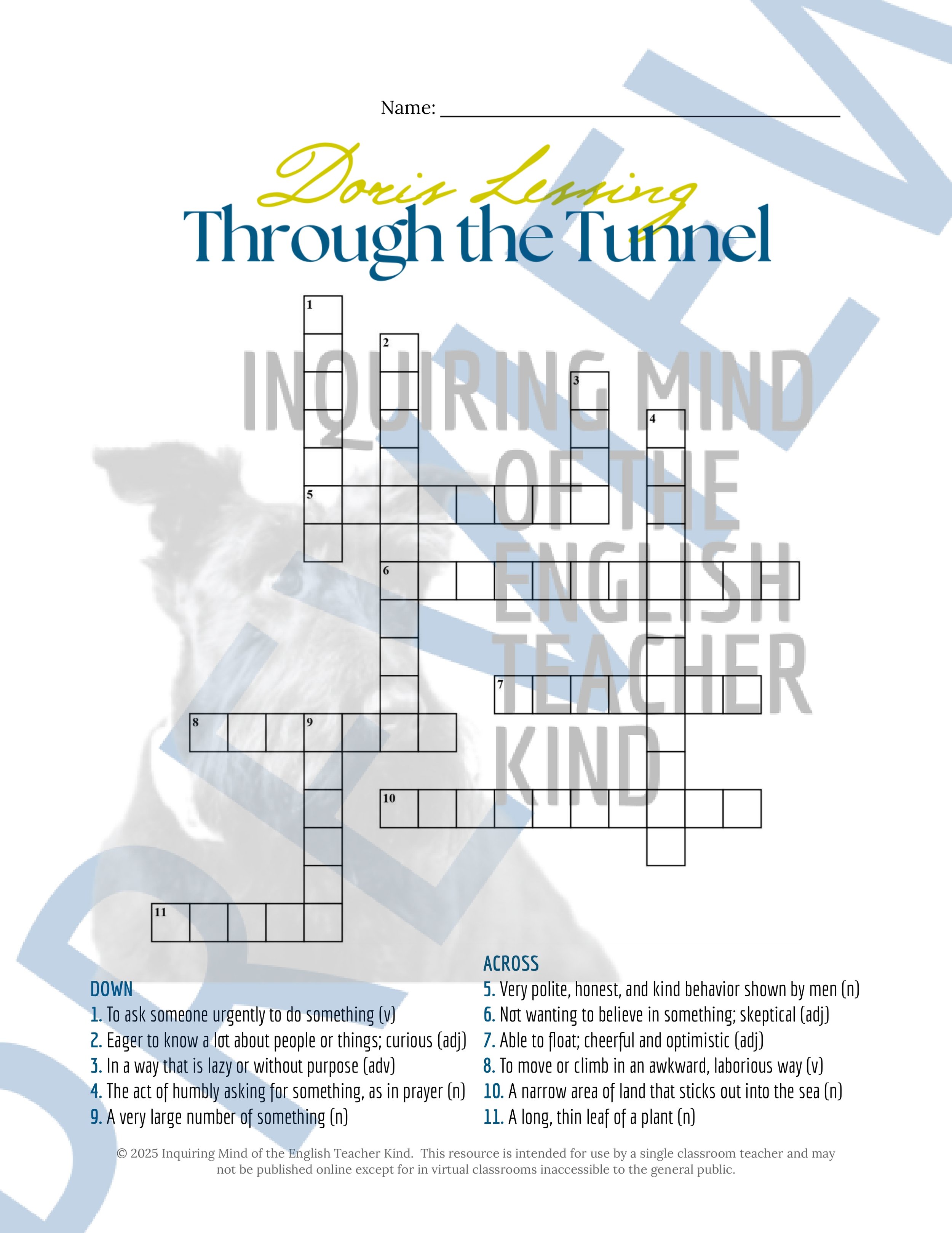 "Through the Tunnel" by Doris Lessing Quiz, Analysis Activities, Vocabulary Games, and Answer Keys for High School from Inquiring Mind of the English Teacher Kind