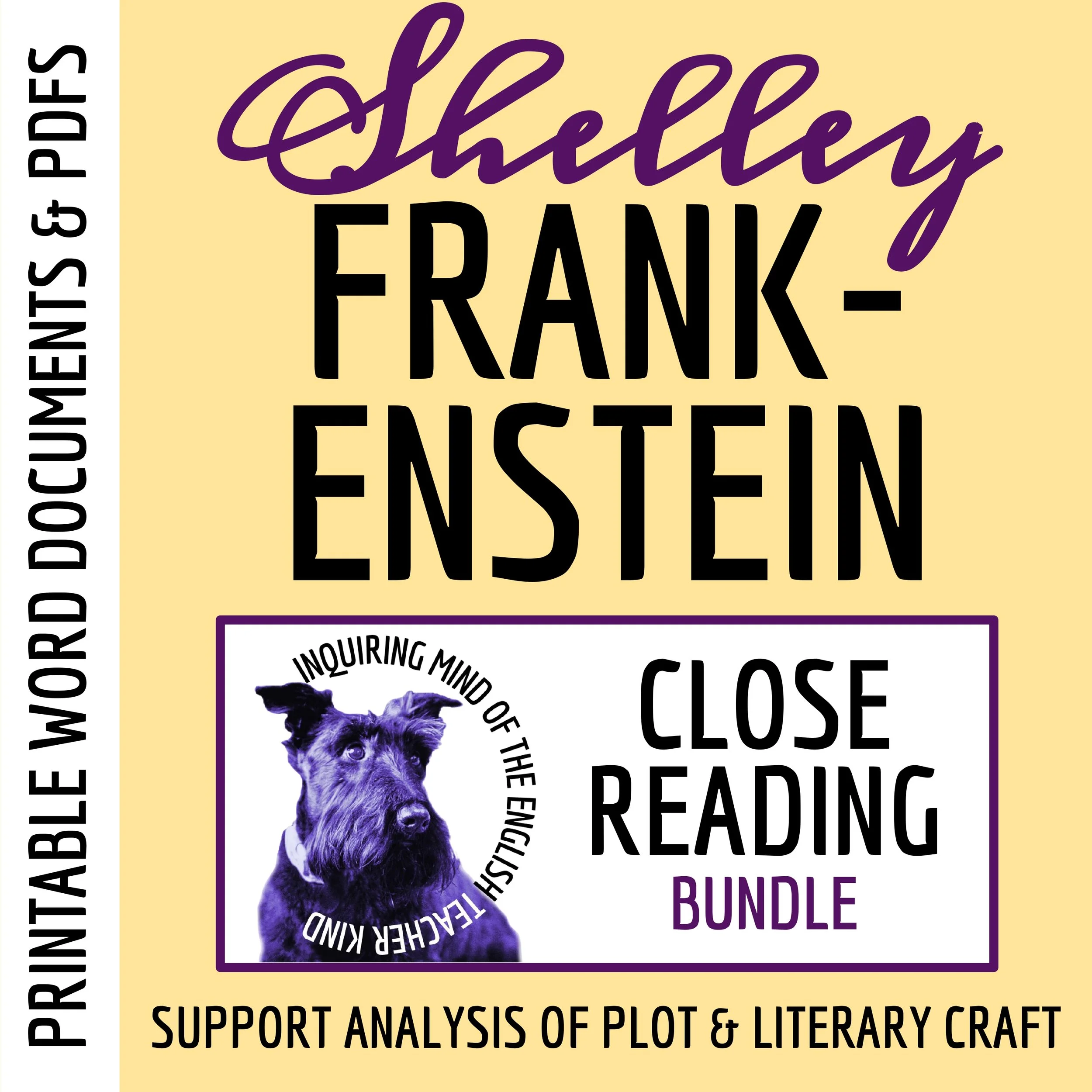 Frankenstein by Mary Shelley Close Reading Analysis Worksheets_page-0001.jpg
