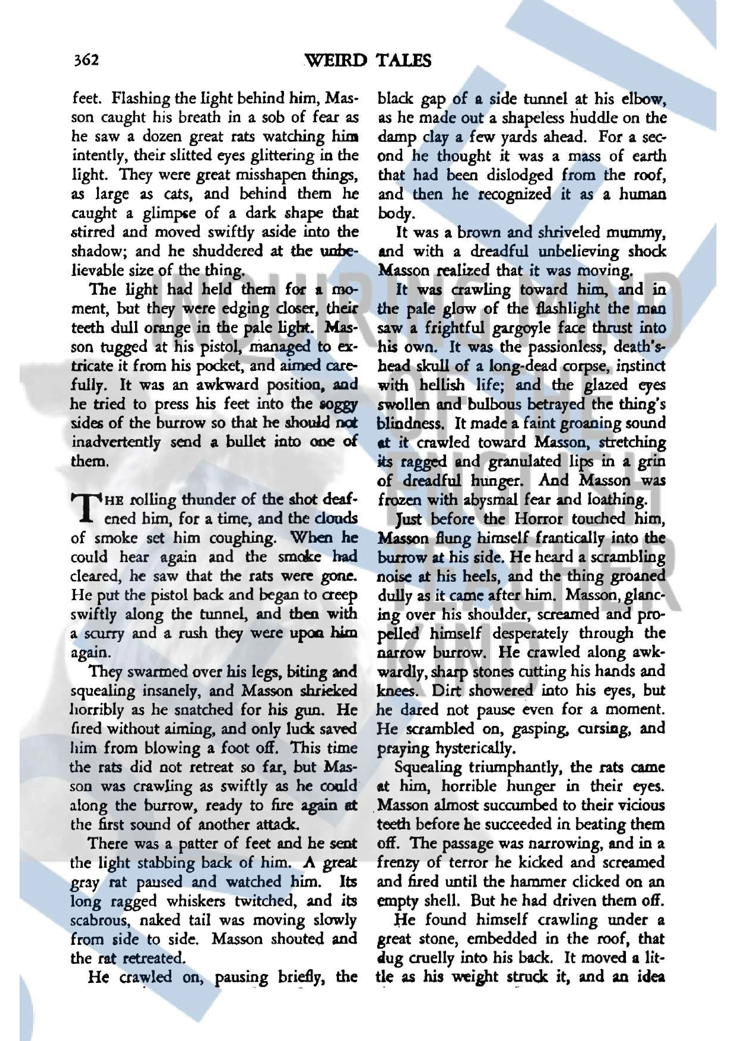 The Graveyard Rats Short Story Activities Gothic Fiction for Halloween (14).jpg