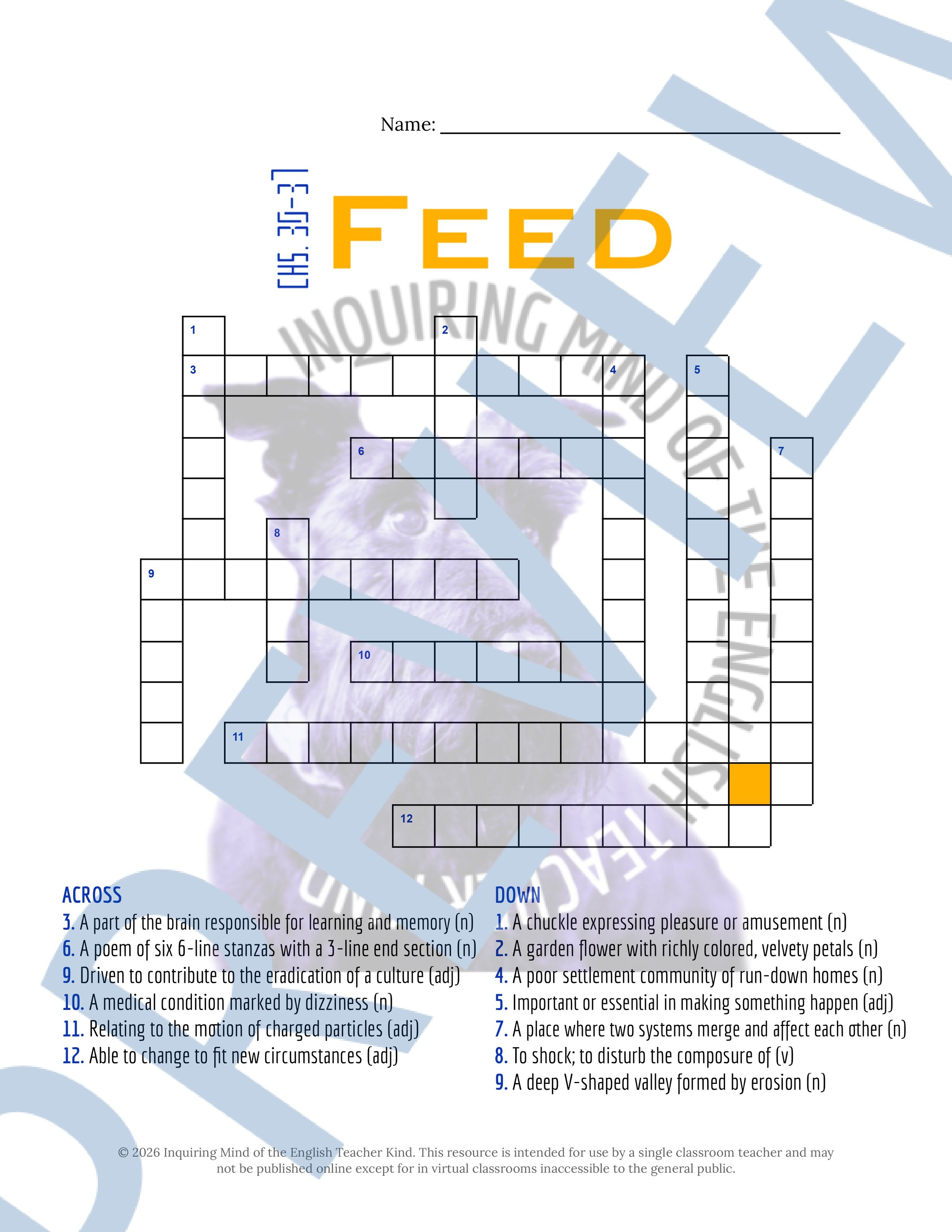 Feed by M. T. Anderson Chapters 30-37 Vocabulary Activities (1).jpg