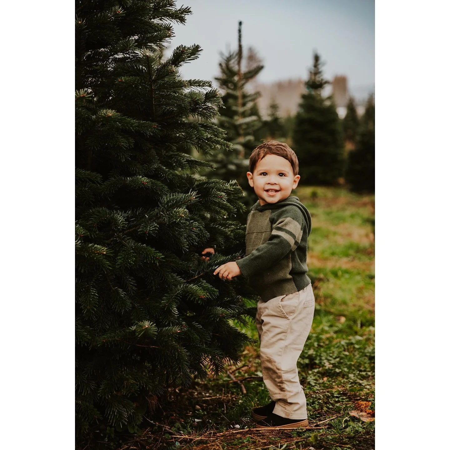 It&rsquo;s almost time for my Christmas Tree Farm minis!🌲

I can&rsquo;t wait to see both some new AND familiar faces this year, especially this adorable family! 😍 One of my favorite things in the world is being able to photograph my repeat clients