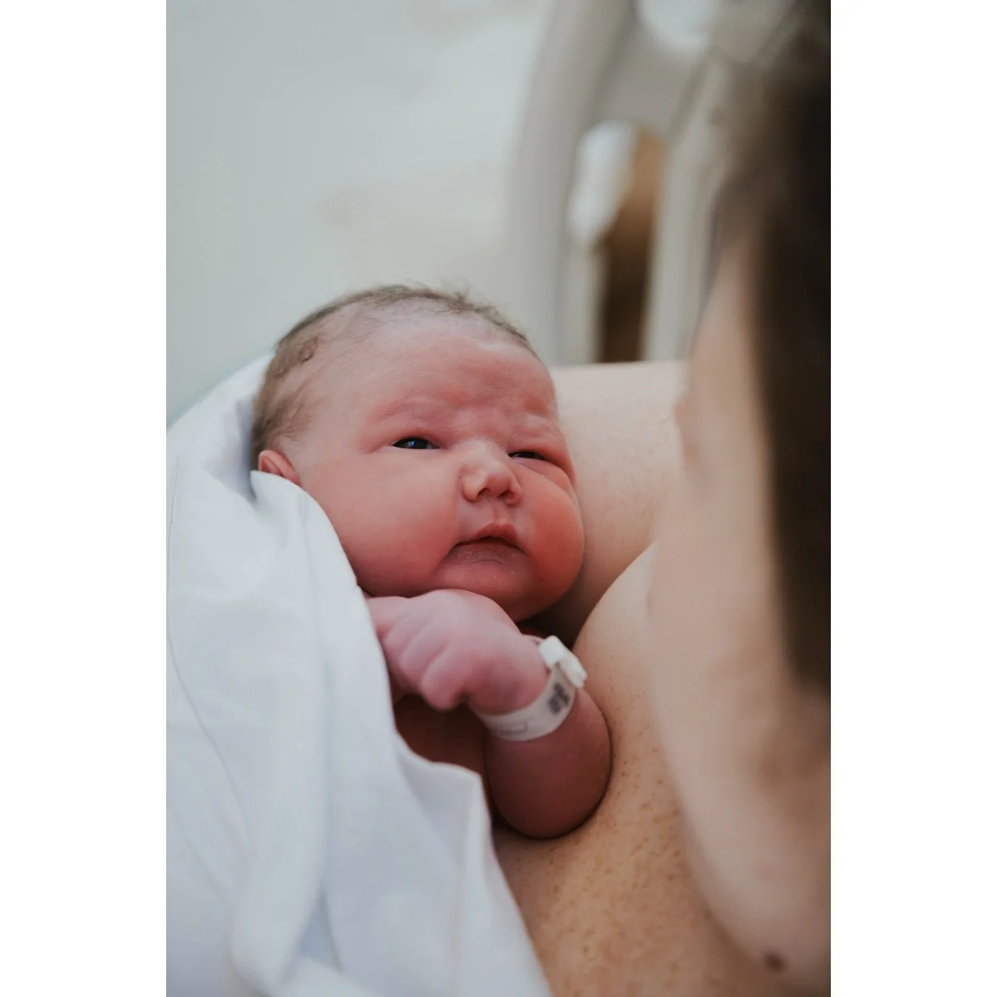 Baby fever anyone? 🙋&zwj;♀️

Welcome to the world Franklin Lee-Richard Carnahan 🩵
.
.
.
.
.
#seattle #seattlelife #seattleminisessions #seattlephotographer #seattlephotography #seattlebabyphotographer  #seattlenewbornphotographer #seattlematernityp