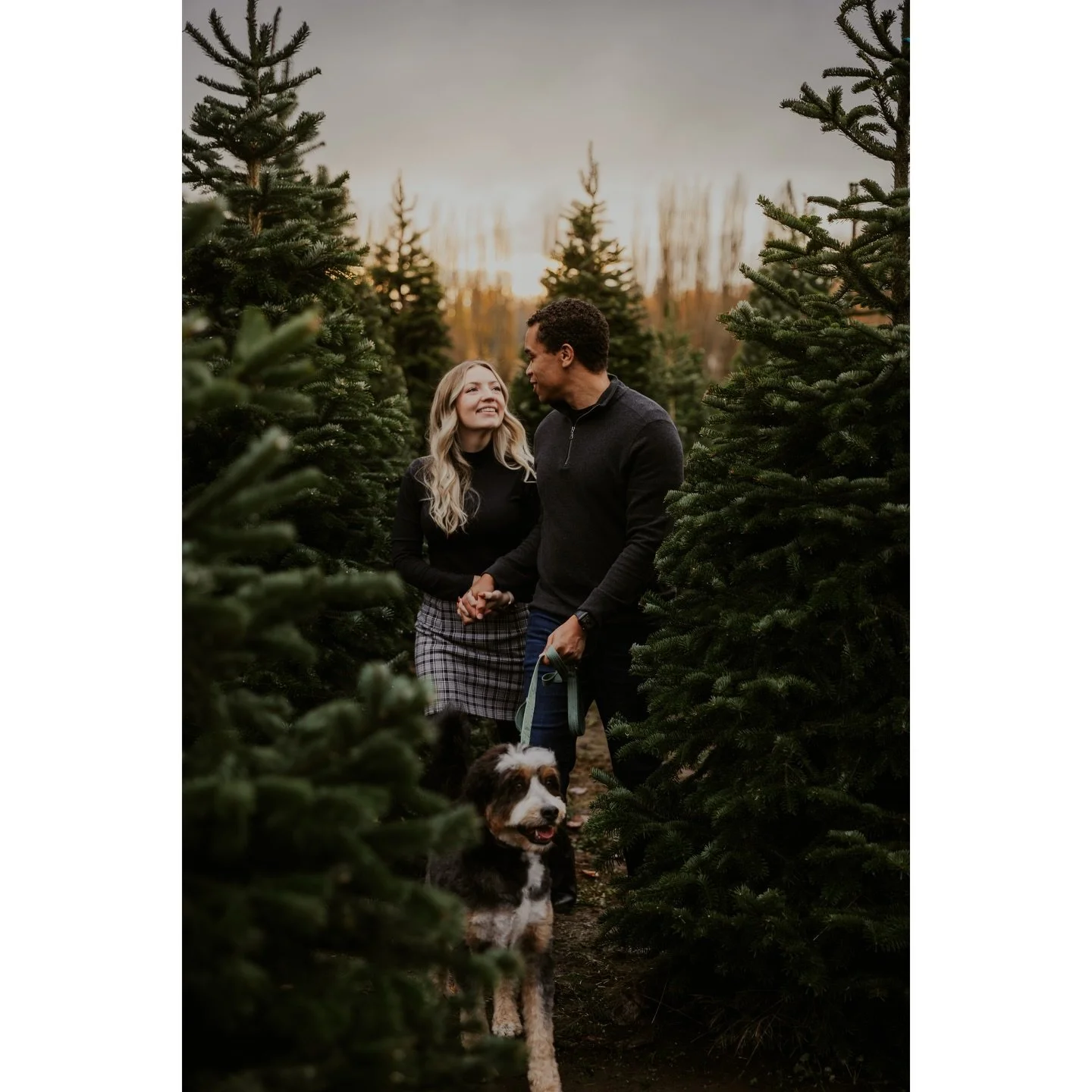 Thank you to everyone who came out for any of my holiday minis I hosted! I am almost done with everyone&rsquo;s album, so if you&rsquo;re still waiting I SO appreciate your patience. All Tree Farm Mini albums will be sent by TONIGHT! 🌲

With that be