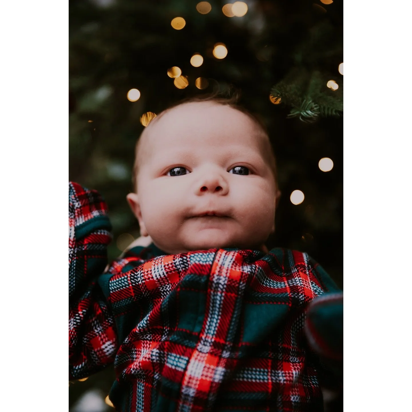 Feeling extra sentimental today looking at these pictures I took of my sister and her family 😍

If you&rsquo;re looking to spread some extra cheer, consider purchasing a gift certificate from me just in time for the holidays! My prices will be going