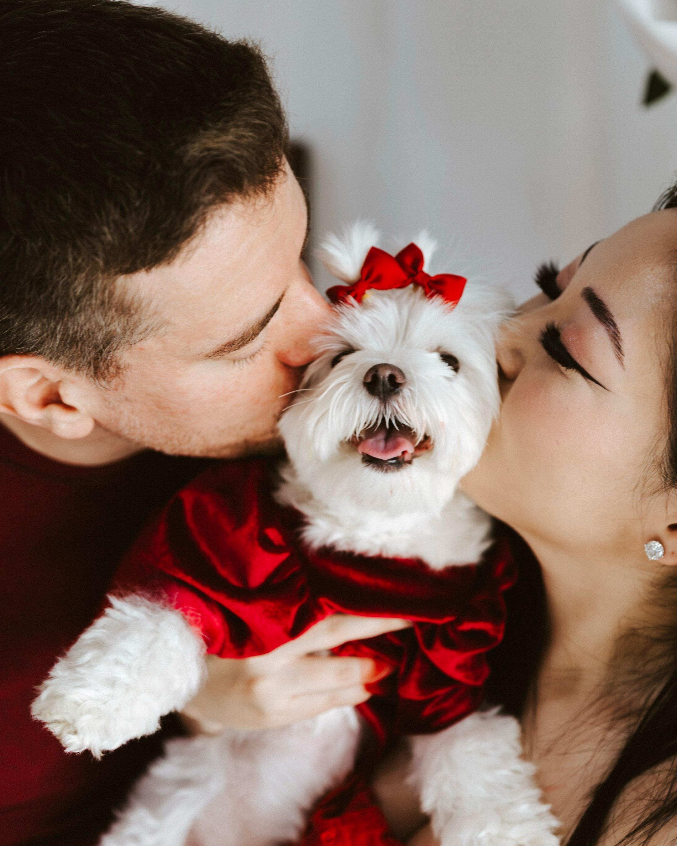 Puppy love 🐾🤍🍎

I still can&rsquo;t get over how cute this studio set up was and how ADORABLE this little doggy was.
.
.
.
.
.
#vancouverwa #portlandphotographer #vancouverwashington #oregonphotographer #familyphotography 

Vancouver WA family pho
