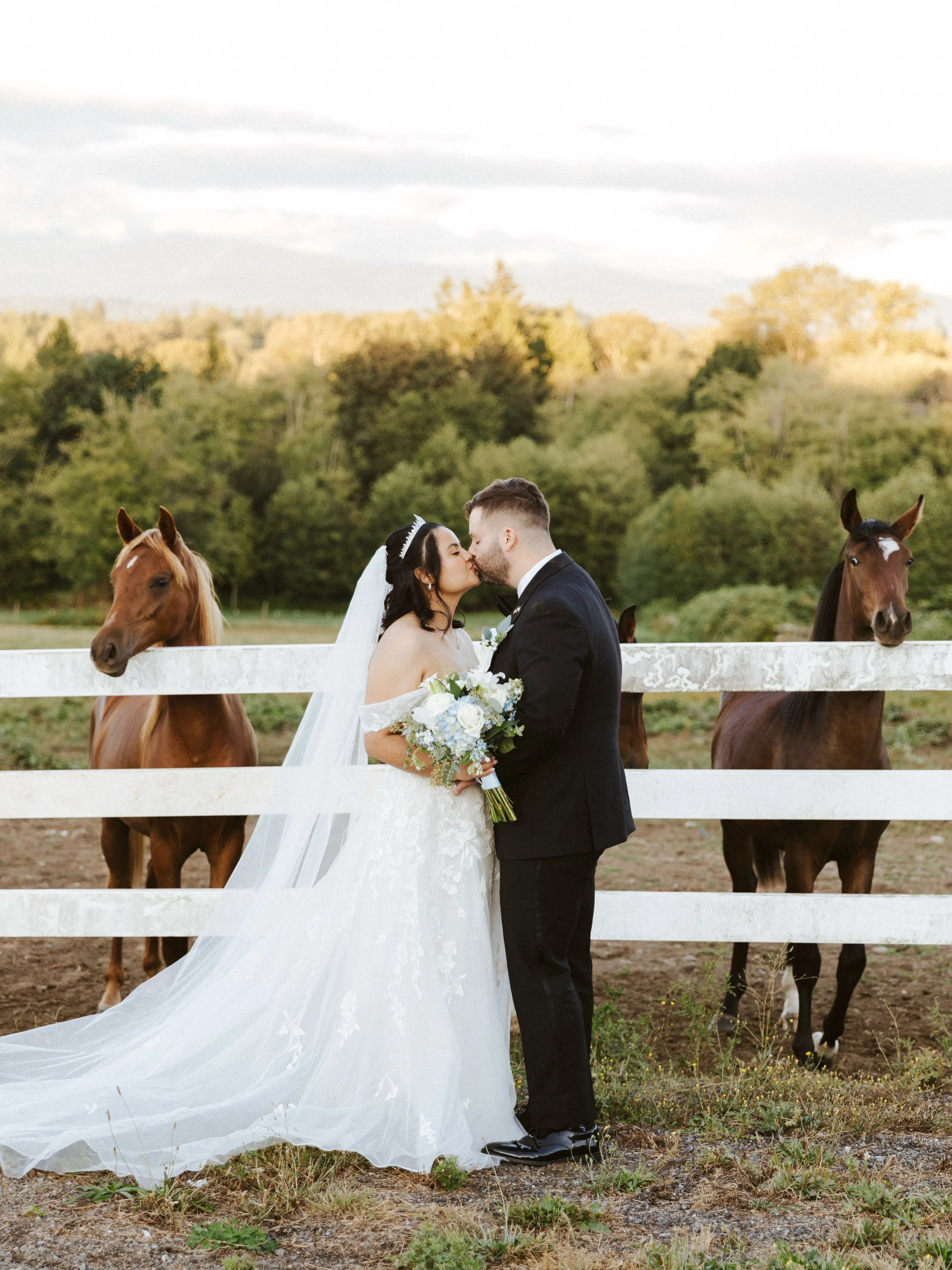 Gentry and Melissa&rsquo;s bridal portraits featuring some wedding crashers

I can&rsquo;t wait to share more from this amazing day 🤍 thank you G&amp;M for trusting me with your most special moments!
.
.
.
.
.
#vancouverwa #portlandphotographer #van