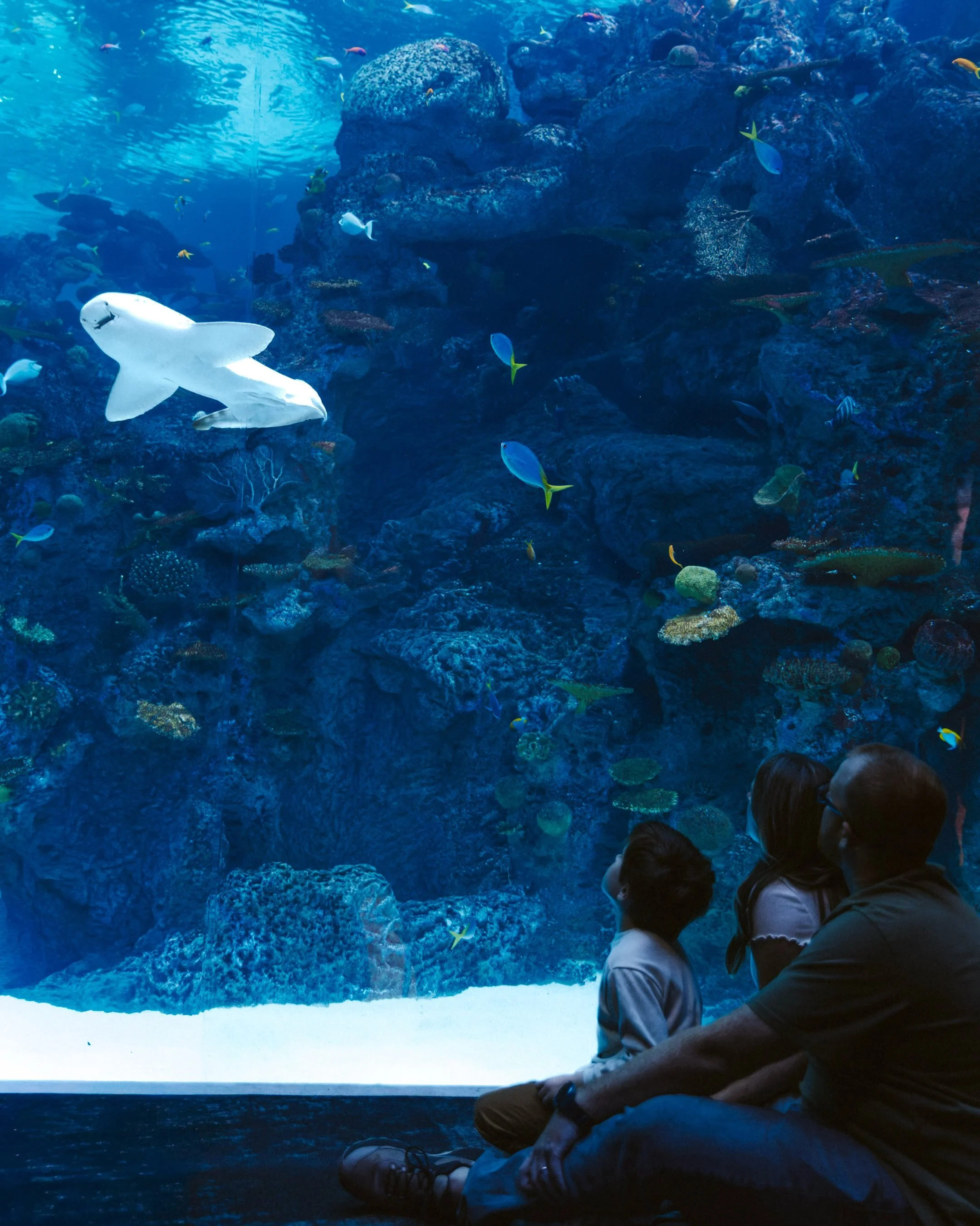 What&rsquo;s more fun than spending the afternoon at the aquarium? I can tell you- absolutely nothing. 🐟🐡🐠

Huge thank you goes out to The Littles for helping me cross an item off my photography bucket list!
.
.
.
.
.
#vancouverwa #portlandphotogr