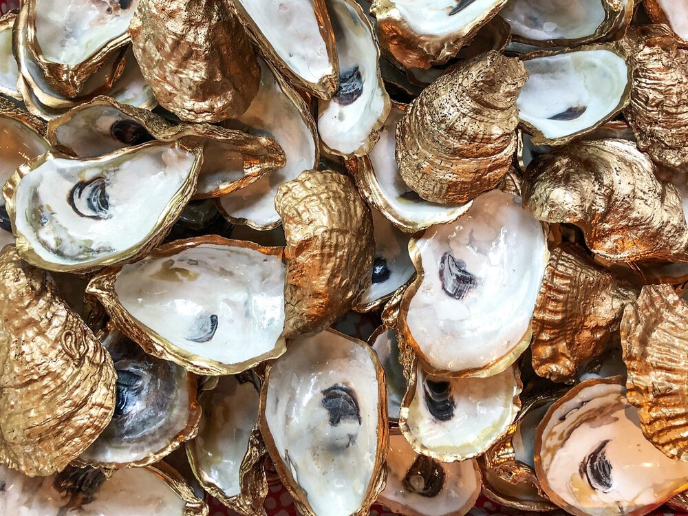 Seashell Artist Wendy Rodger — OHANGA Seashell Artist Wendy Rodger — OHANGA