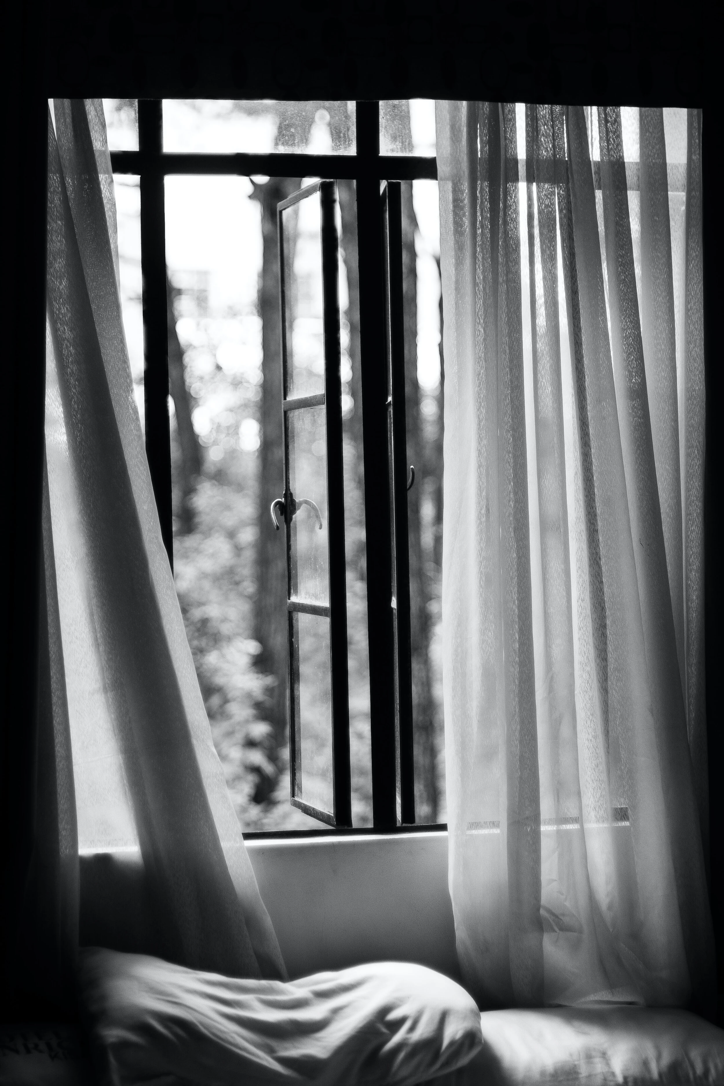 A Promised Rest