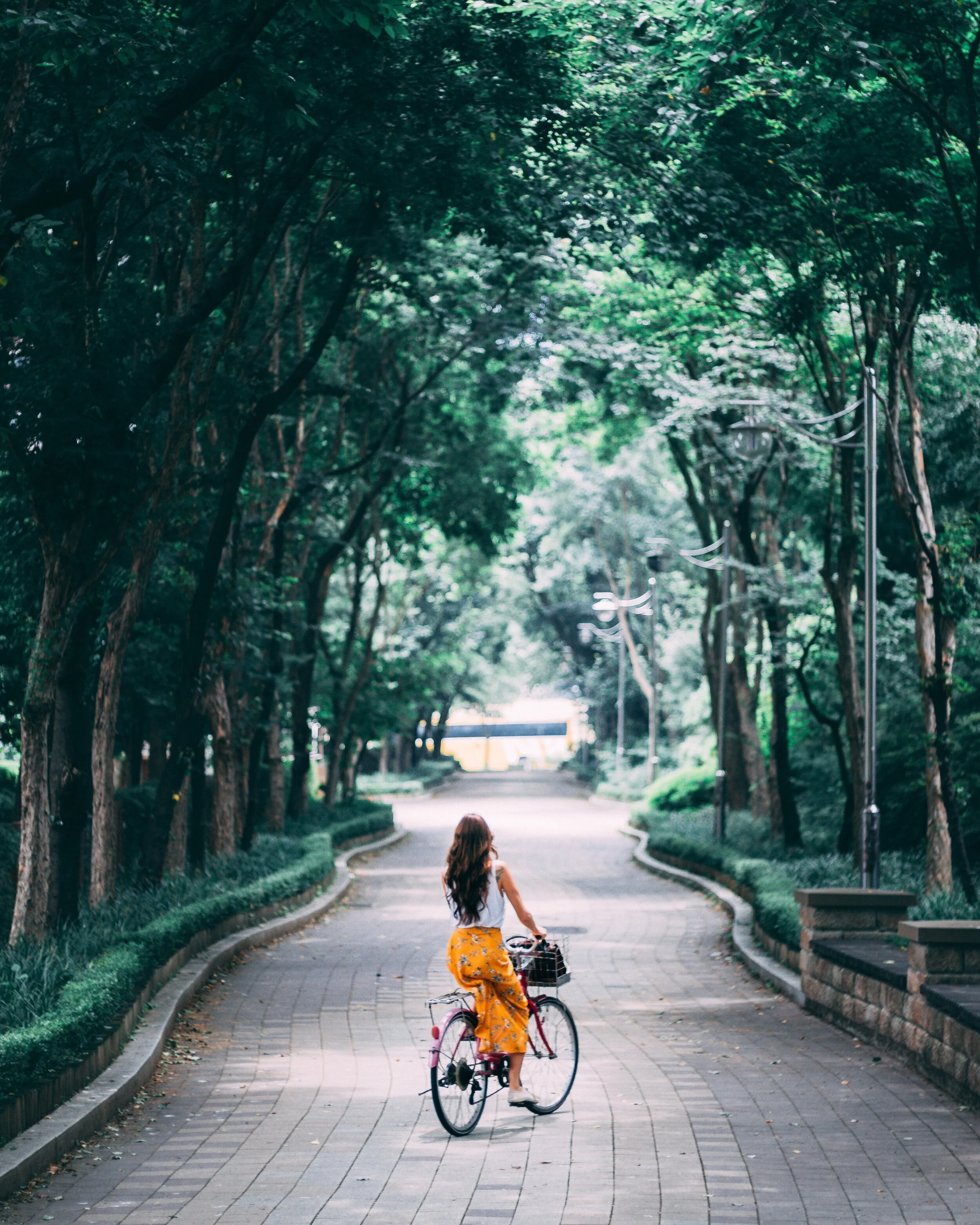 The Movement of Faith