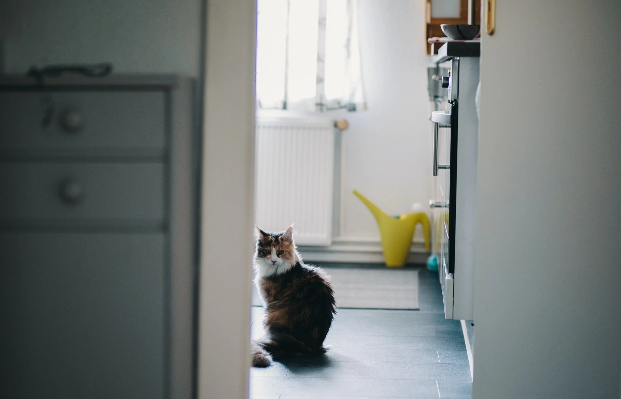unsplash-image-4BfnsOmM8z0.jpg