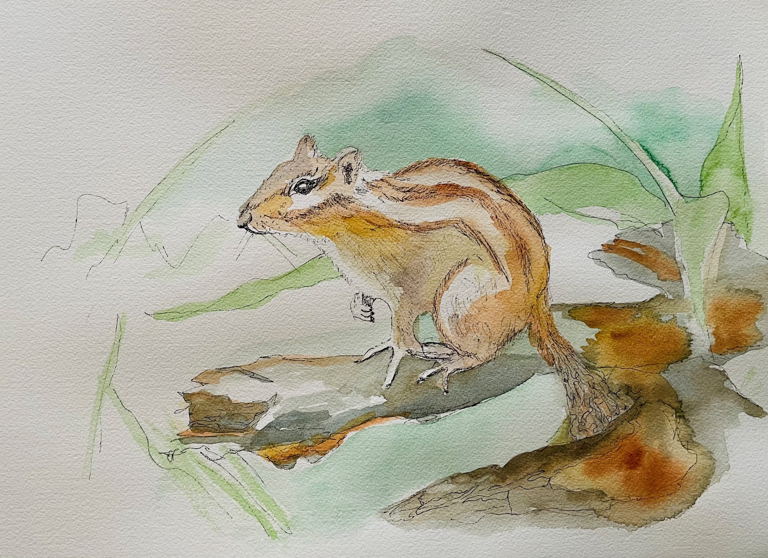 Homework Chipmunk.jpeg