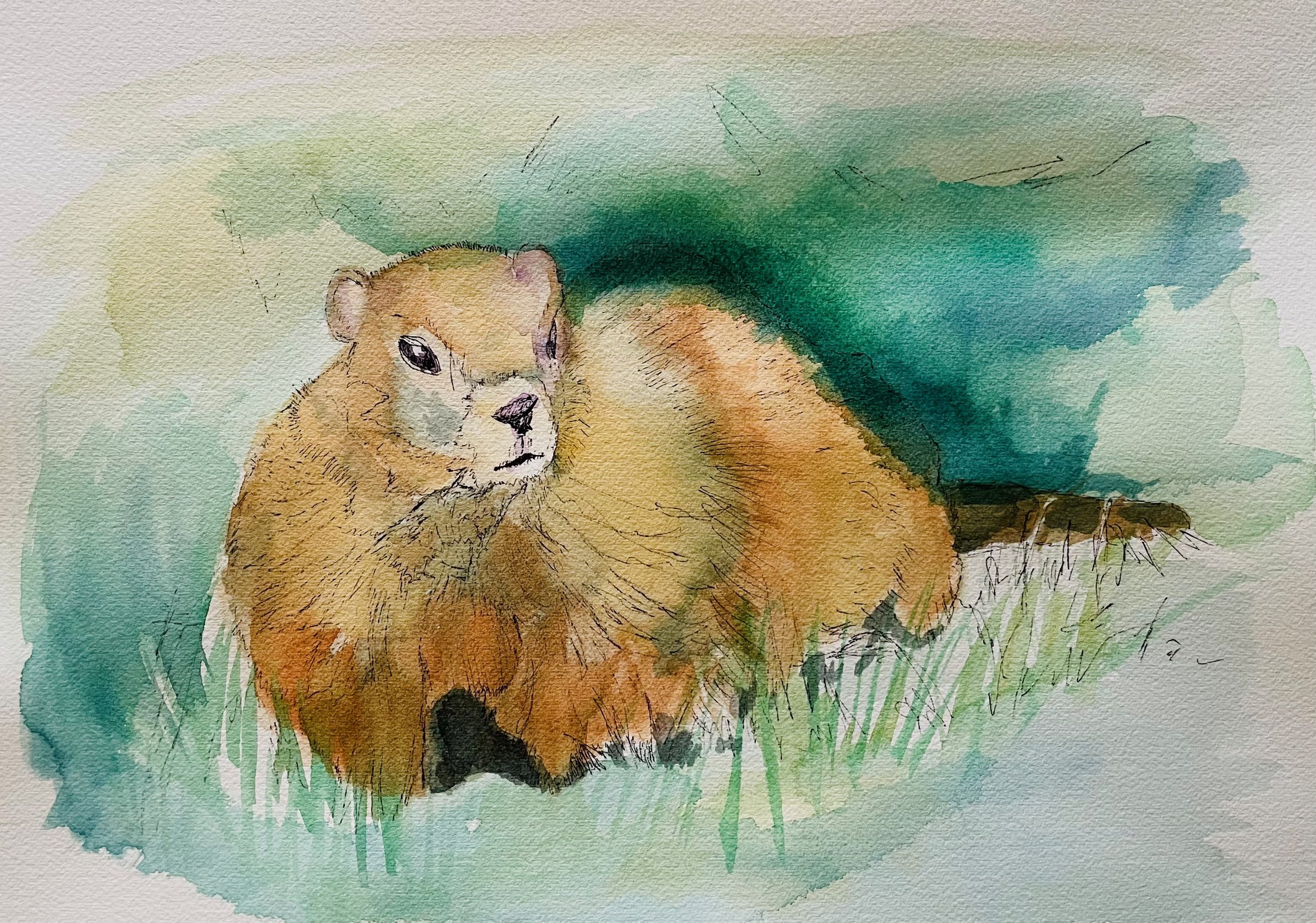 Classwork Groundhog.jpeg