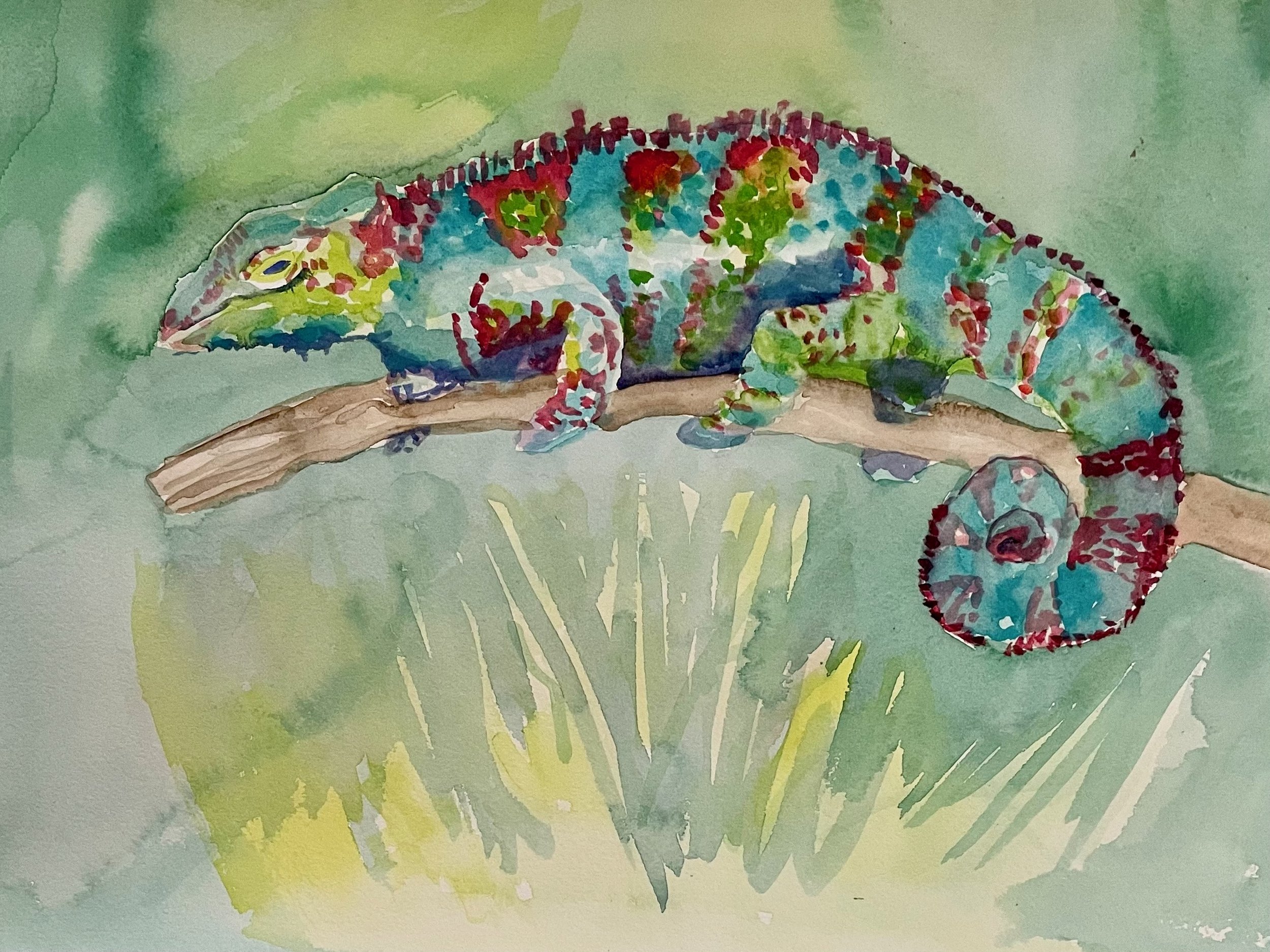 Chameleon .jpeg