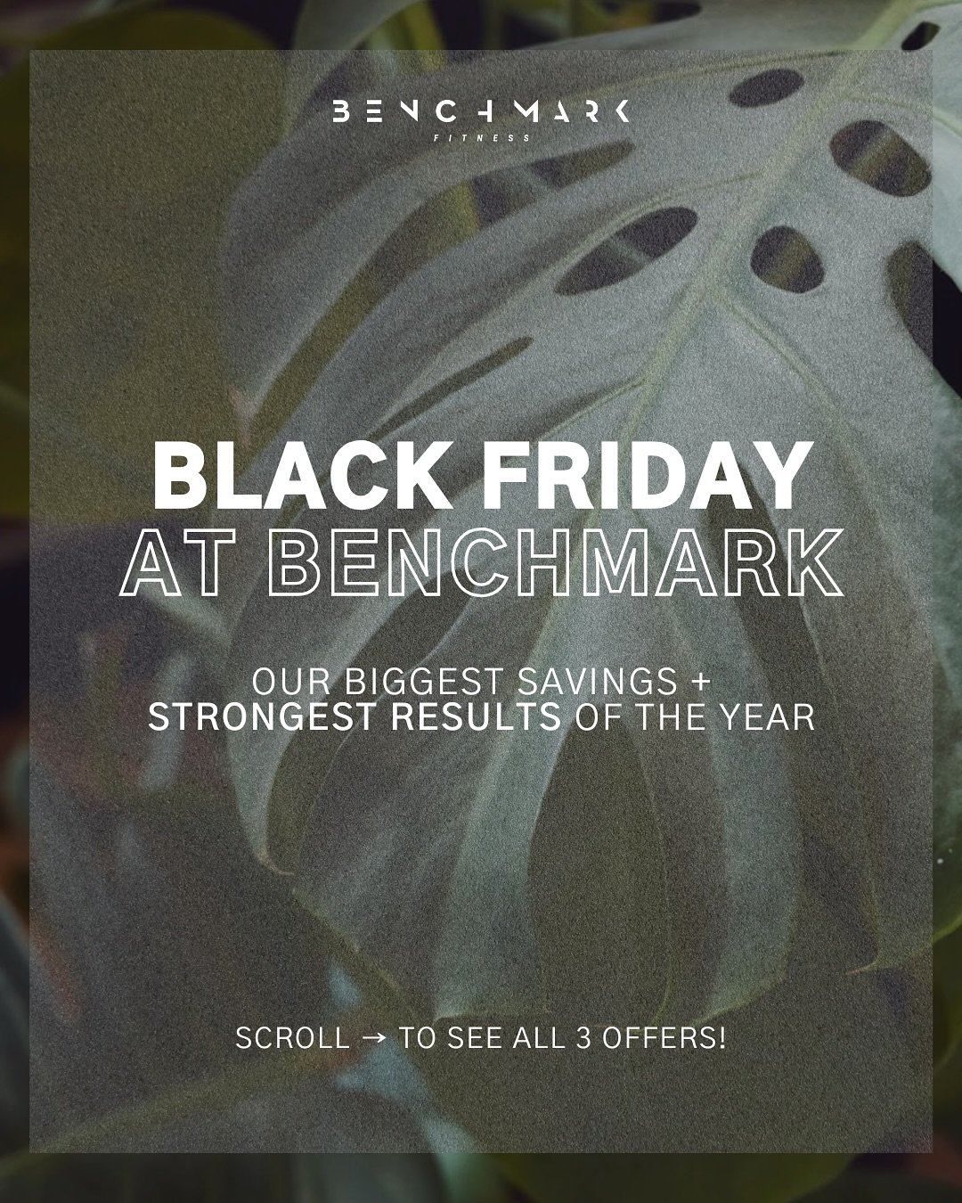 Black Friday has officially landed at BENCHMARK &mdash; and this year, we&rsquo;re bringing you our biggest savings and strongest results of the entire year! 

No fluff. No filler. Just three powerful ways to level up your training and start 2026 str