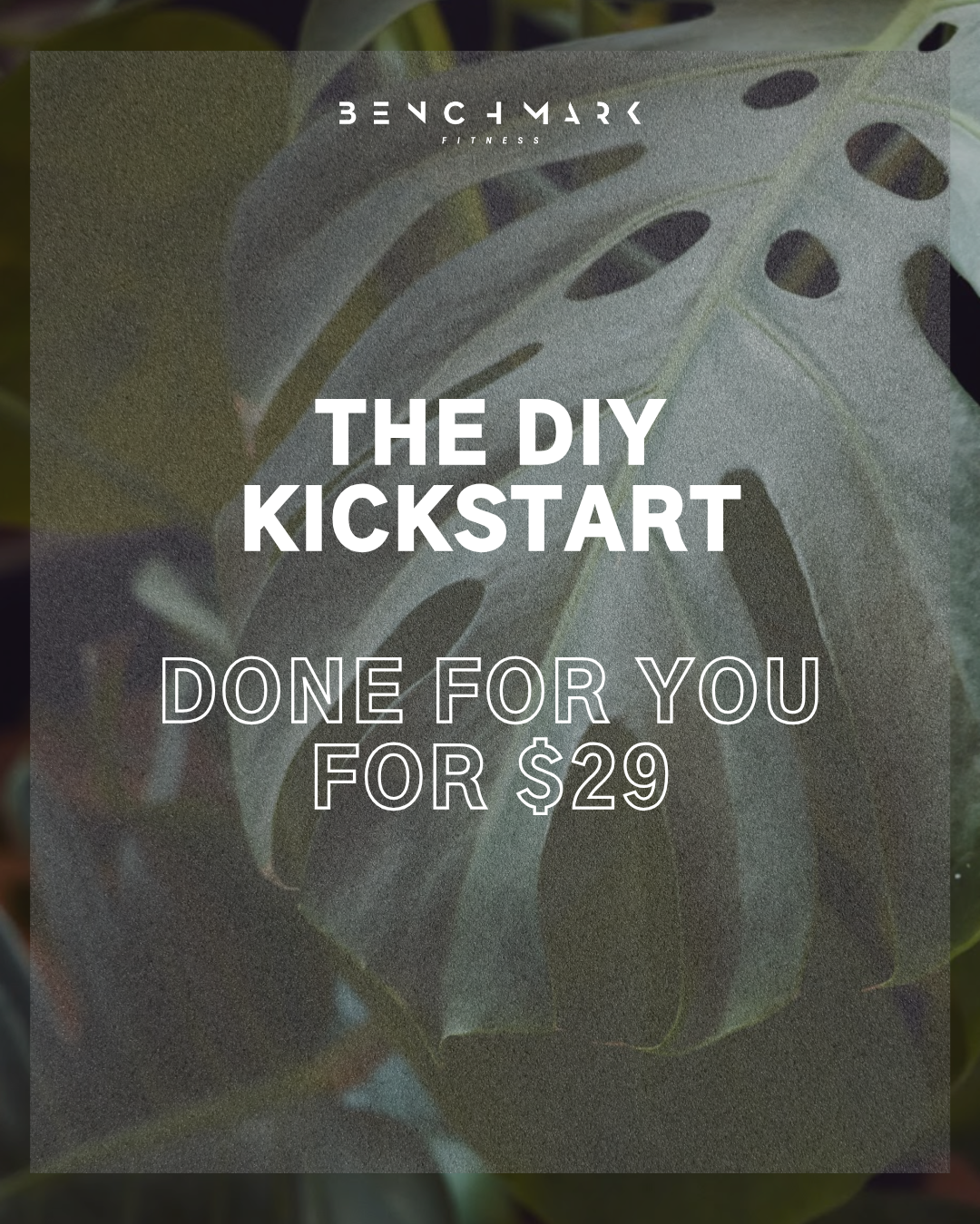 BLACK FRIDAY: Done-For-You Programs