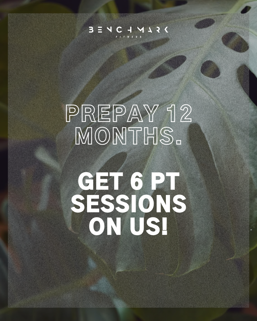 BLACK FRIDAY: The ALL IN Package