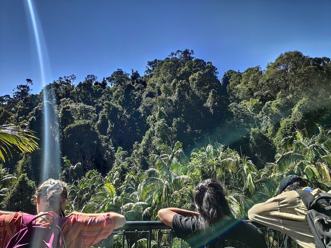 &ldquo;If we kill off the wild, then we are killing a part of our souls.&rdquo; - Jane Goodall.
&bull;
&bull;
&bull;
&bull;
@fizzyrascalstheatre #climatechangeart #rainforest #conservation #brisbane #dpsacademy