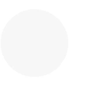 White – Gloss.png