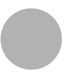Silver Grey – Gloss.png