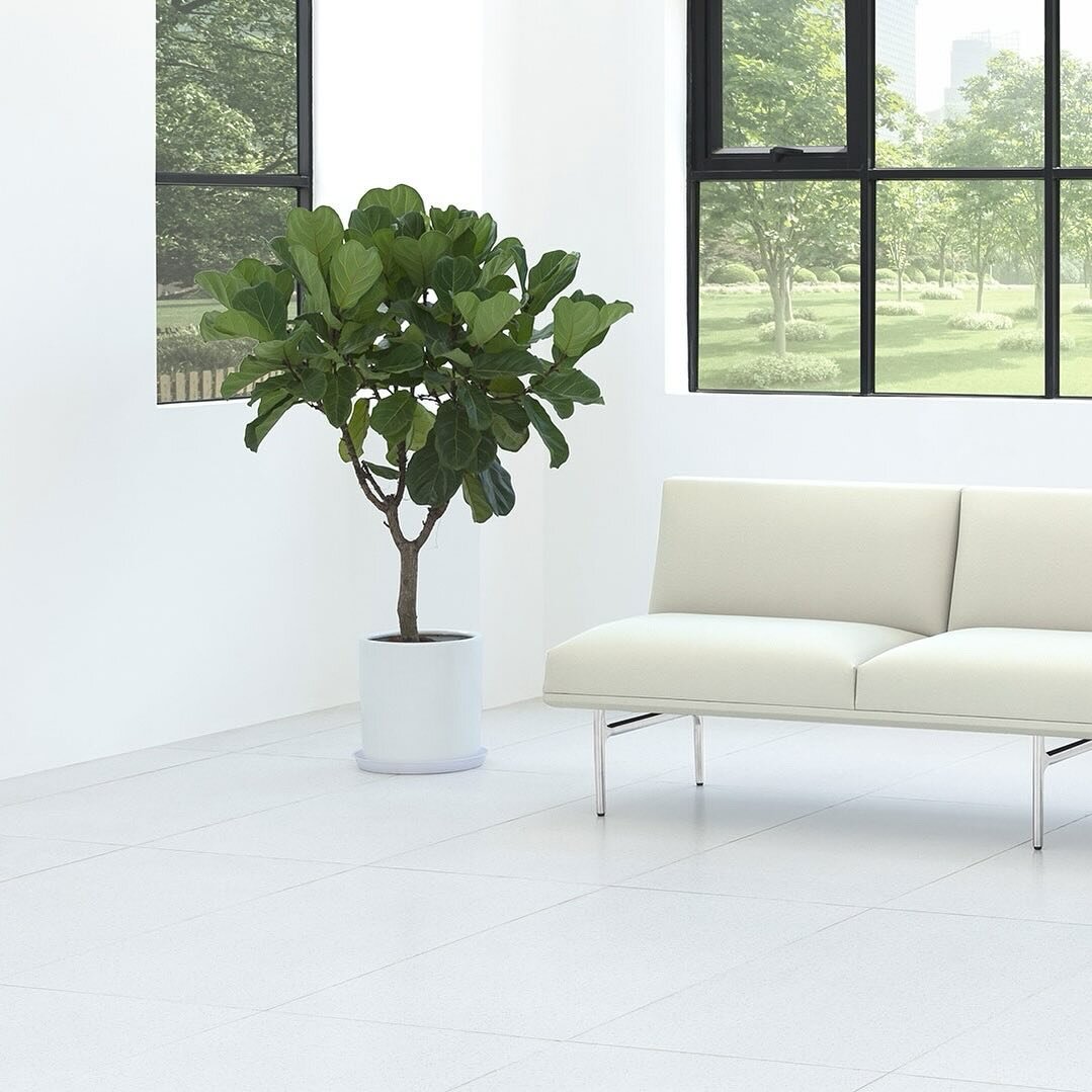 Presenting our Hero Sofa, where sleek lines meet timeless elegance. With its smooth and clean silhouette, Hero Sofa offers the perfect solution for a simple yet sophisticated seating experience. The seamless blend of elegance and comfort effortlessly