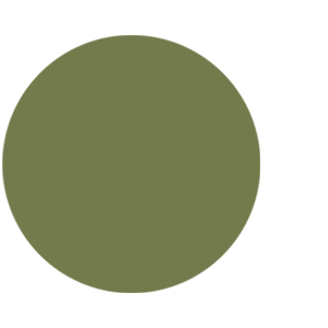 Avocado – Sand.png